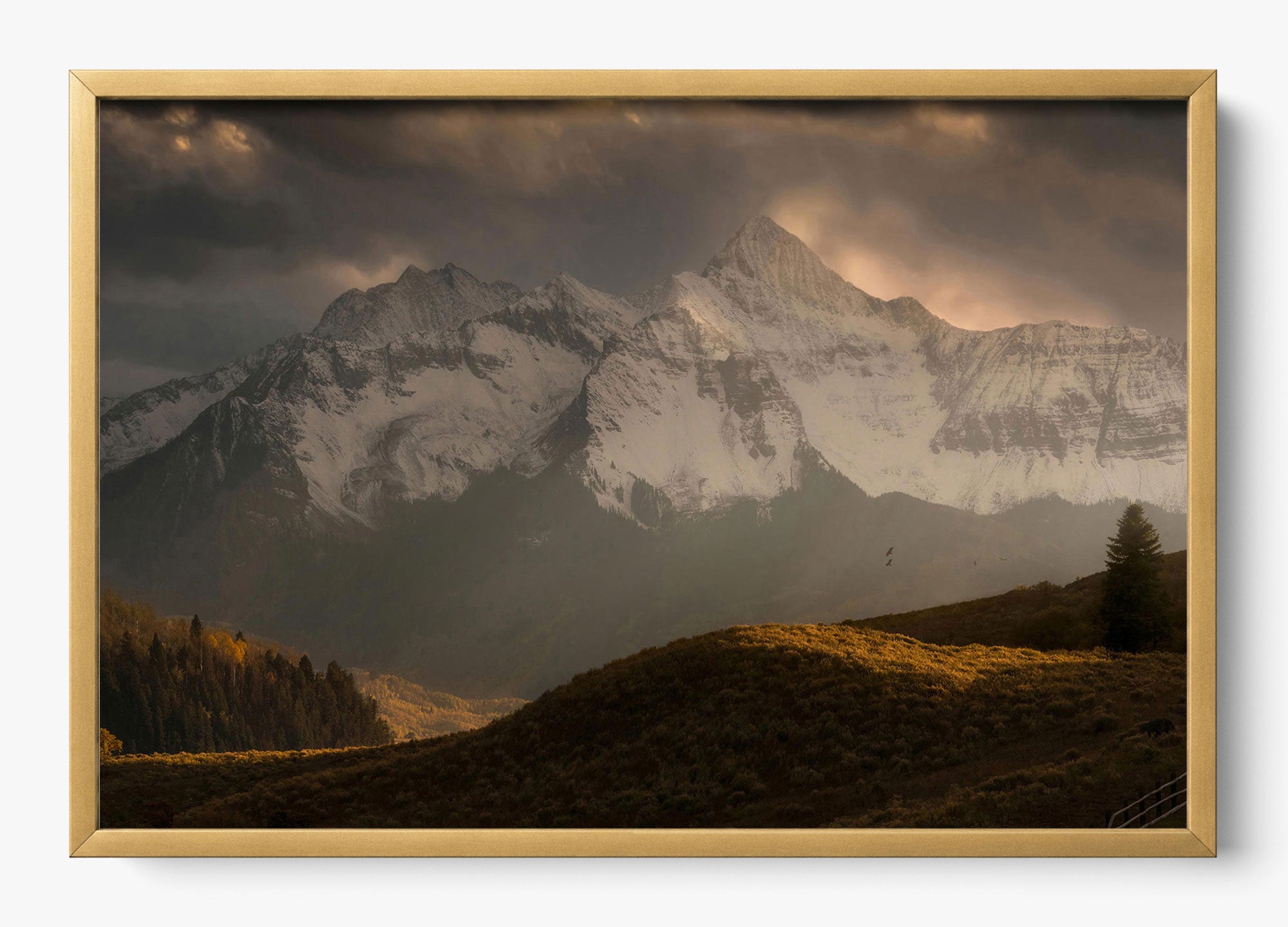Telluride Dawn