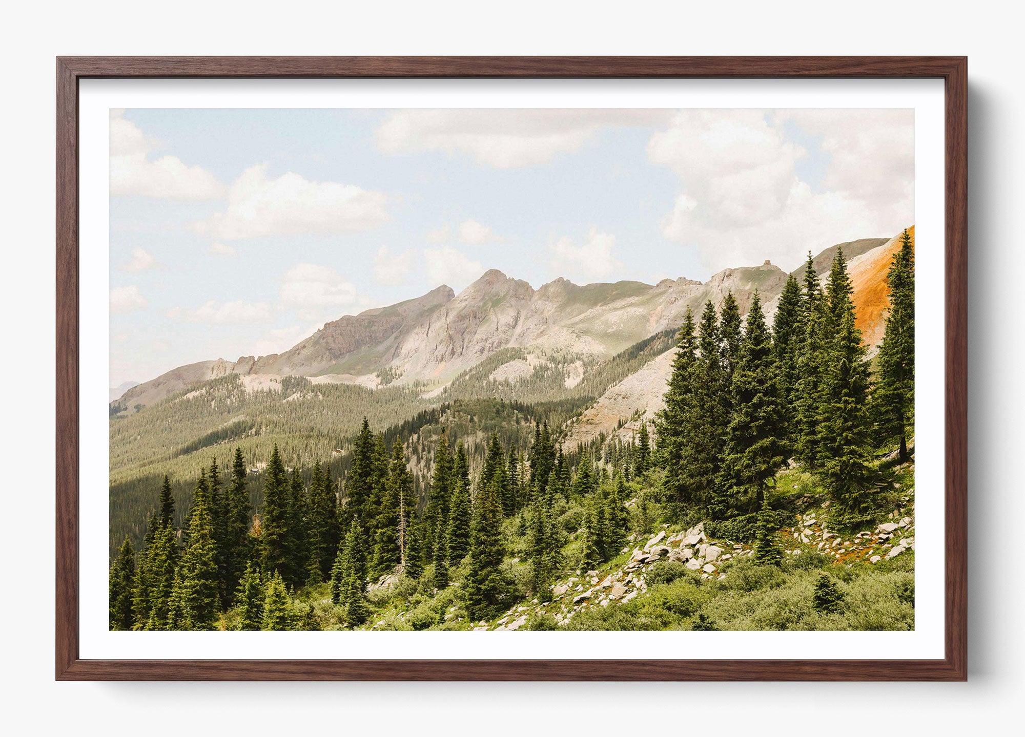 Telluride Pines