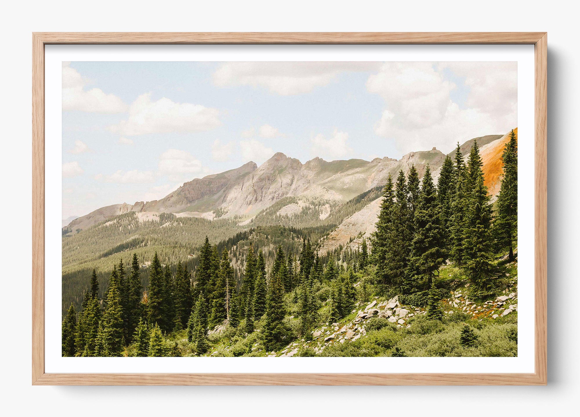 Telluride Pines