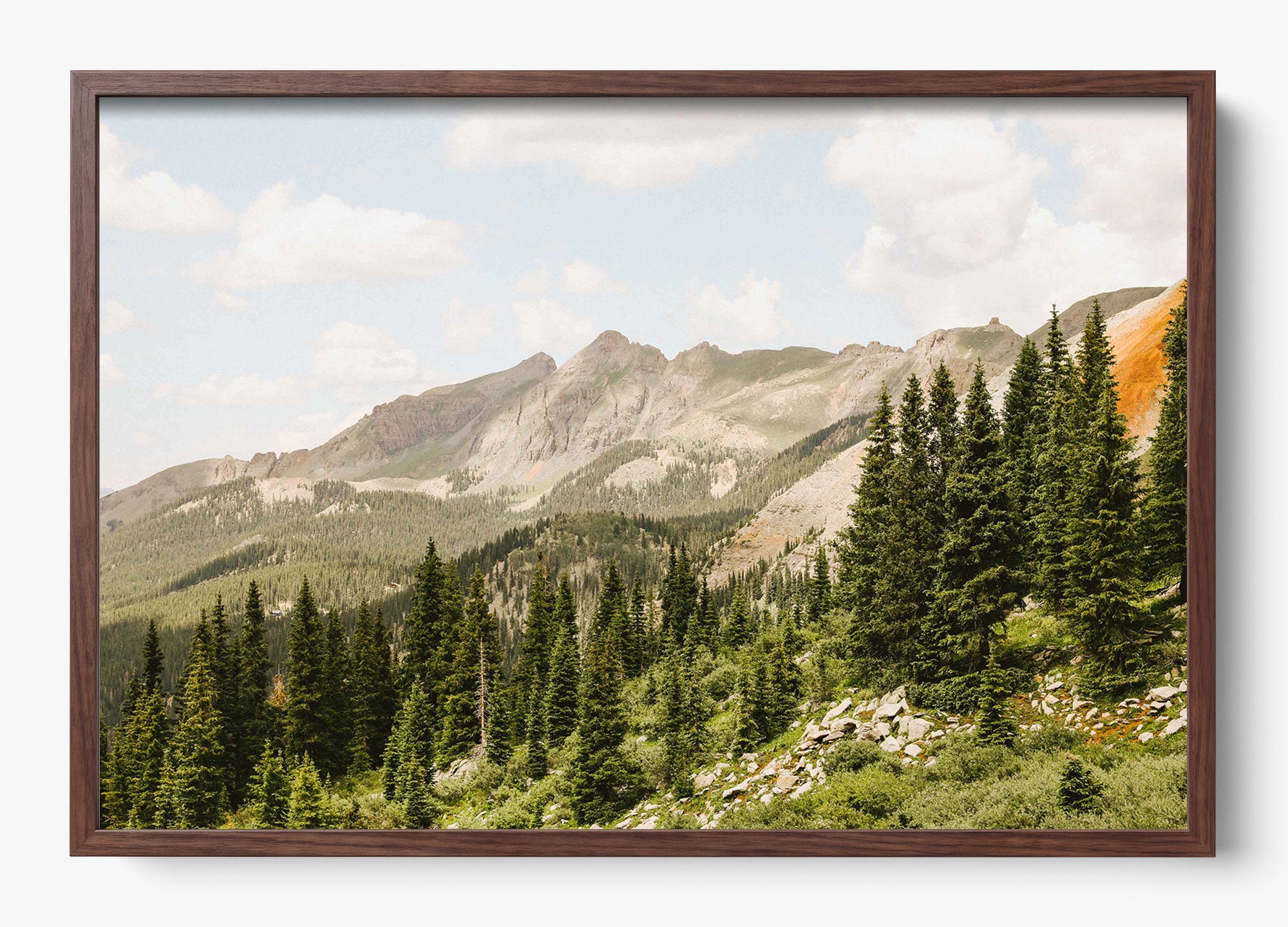 Telluride Pines