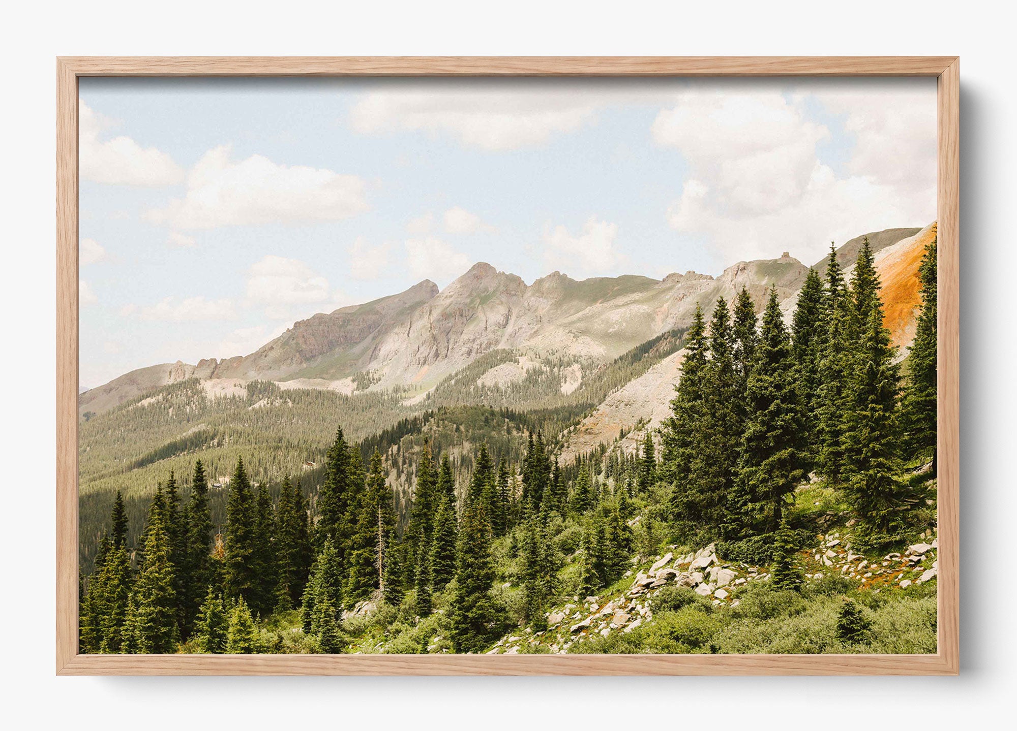 Telluride Pines