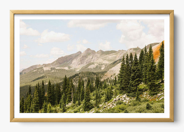Telluride Pines in a Gold frame
