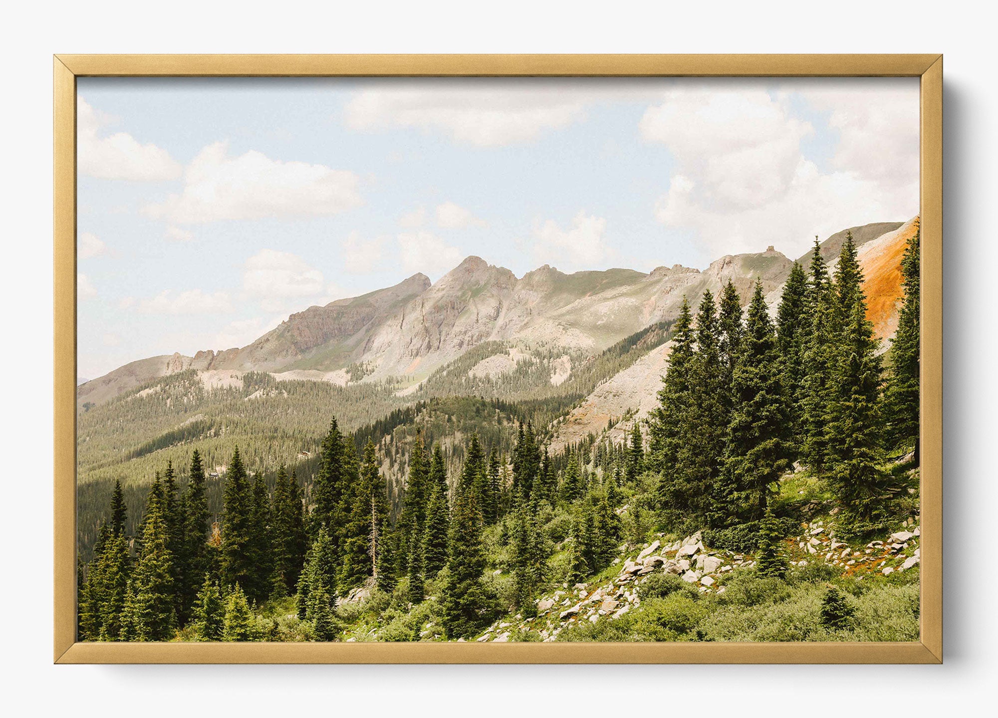 Telluride Pines