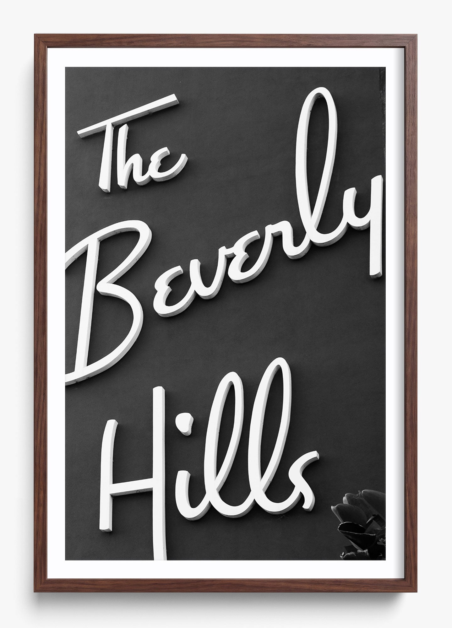 The Beverly Hills