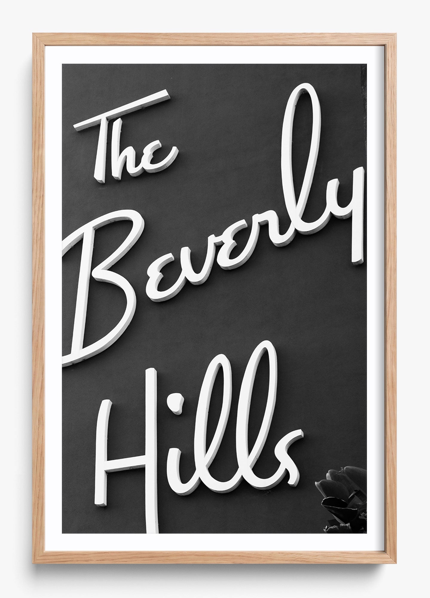 The Beverly Hills
