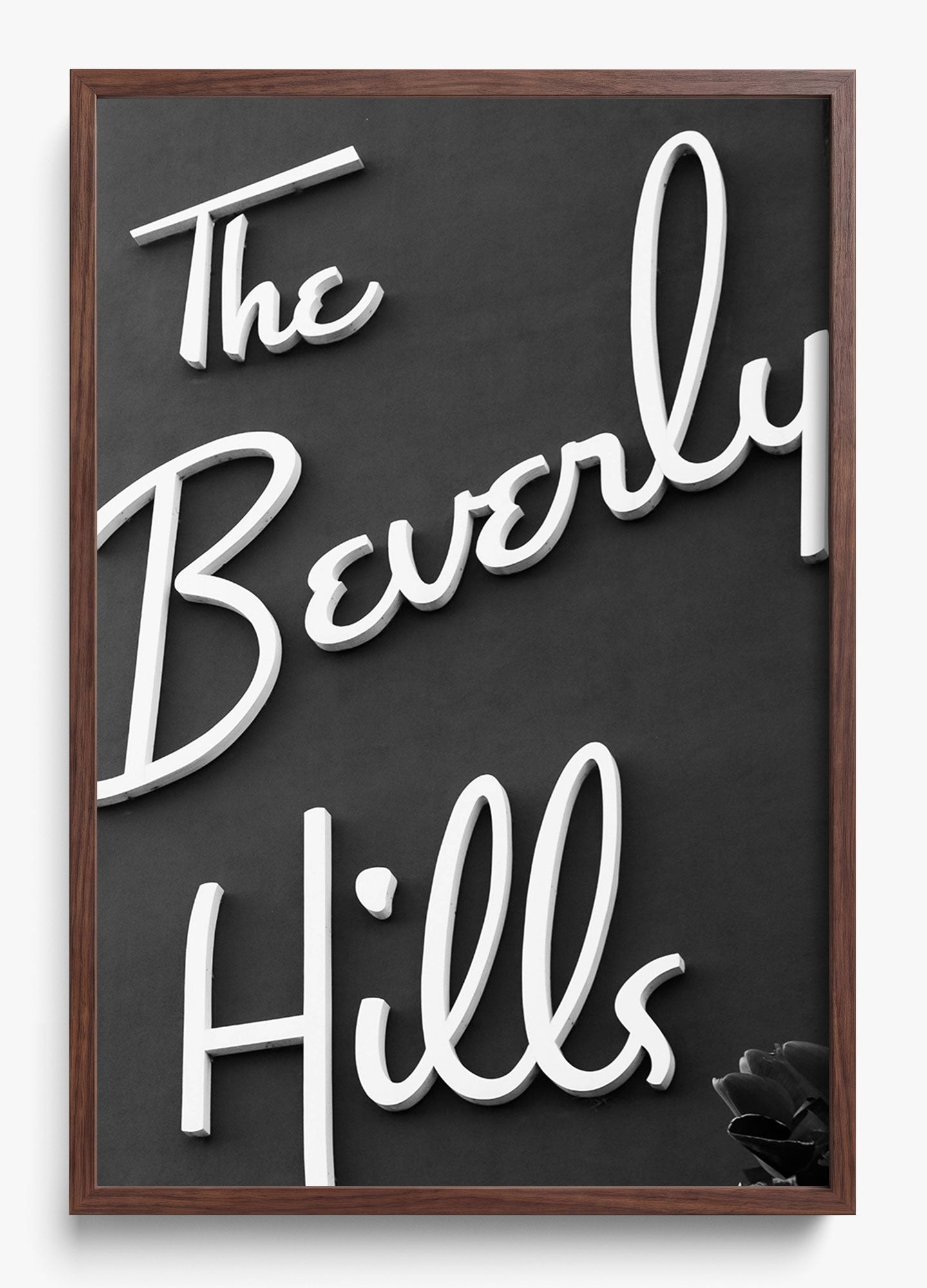 The Beverly Hills