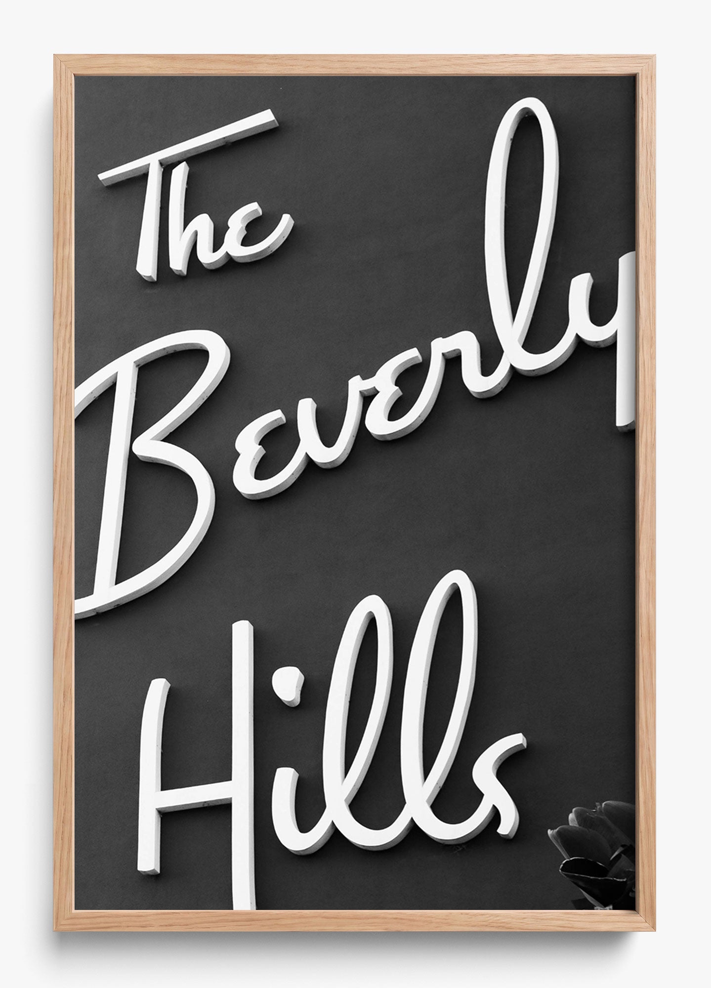 The Beverly Hills
