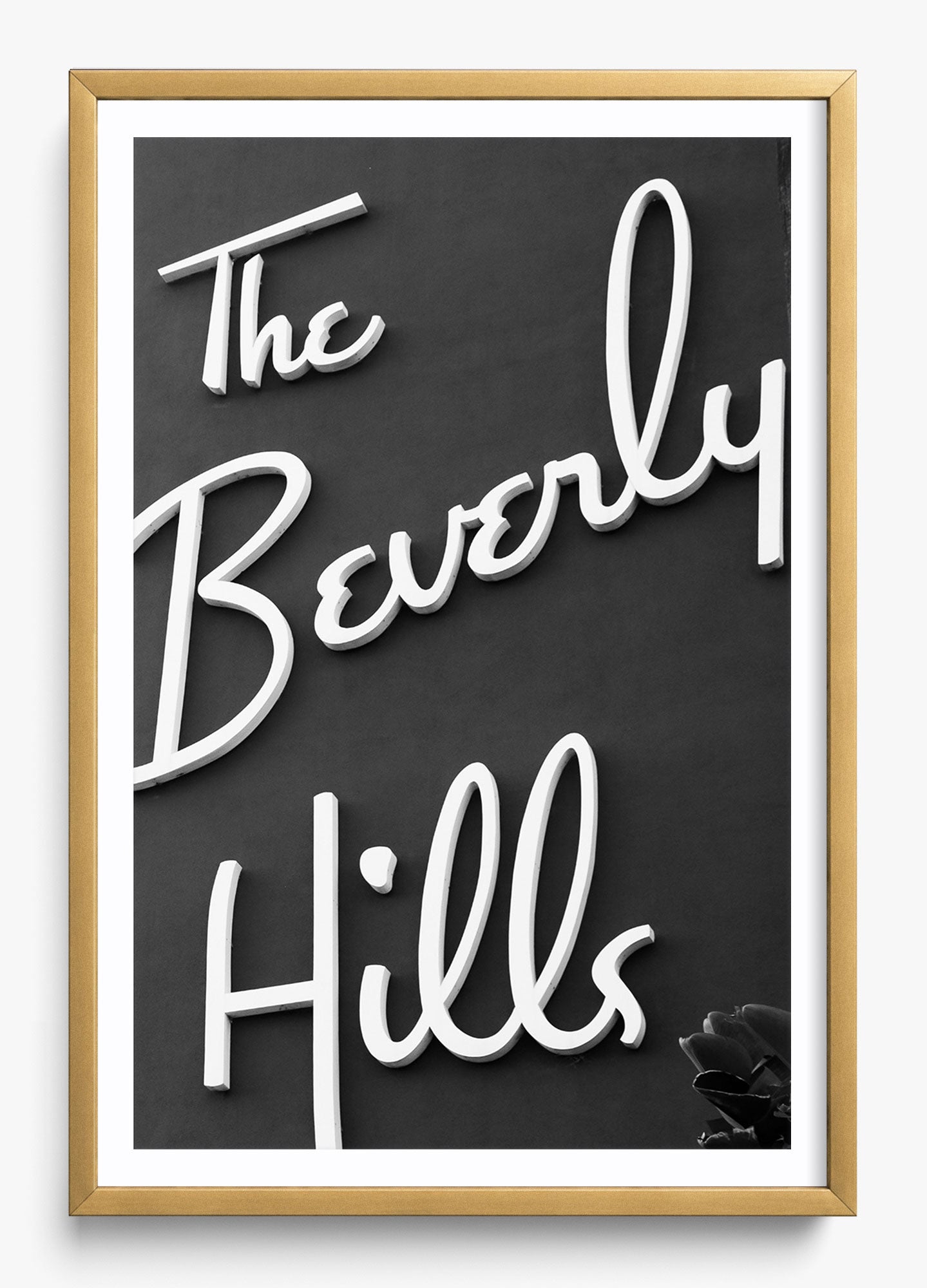 The Beverly Hills