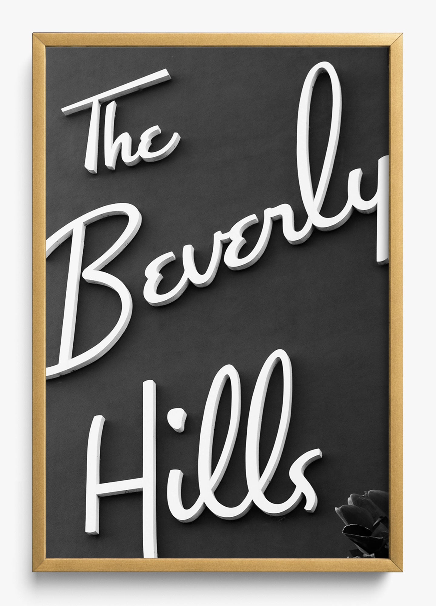 The Beverly Hills