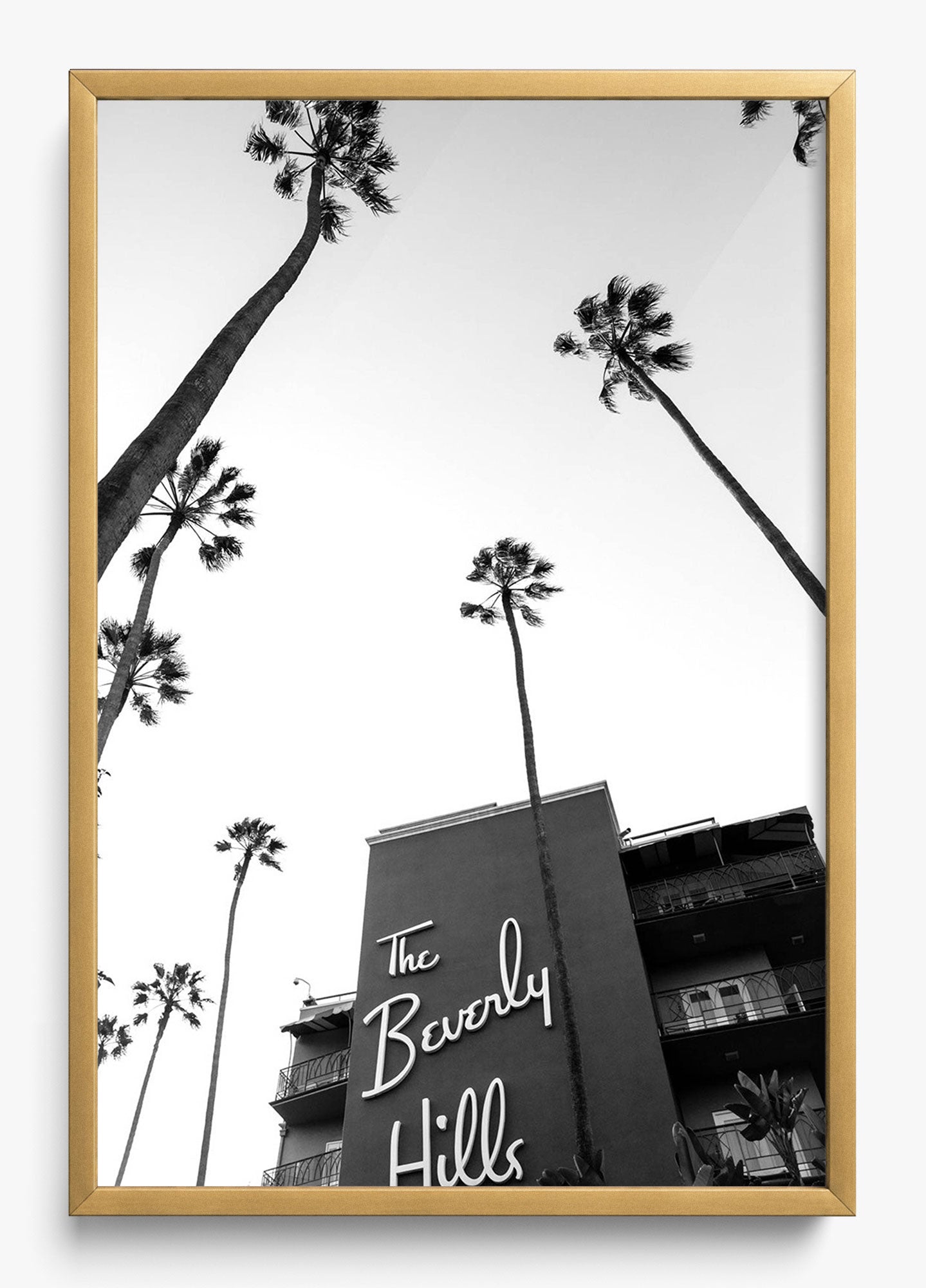 The Beverly Hills Hotel II