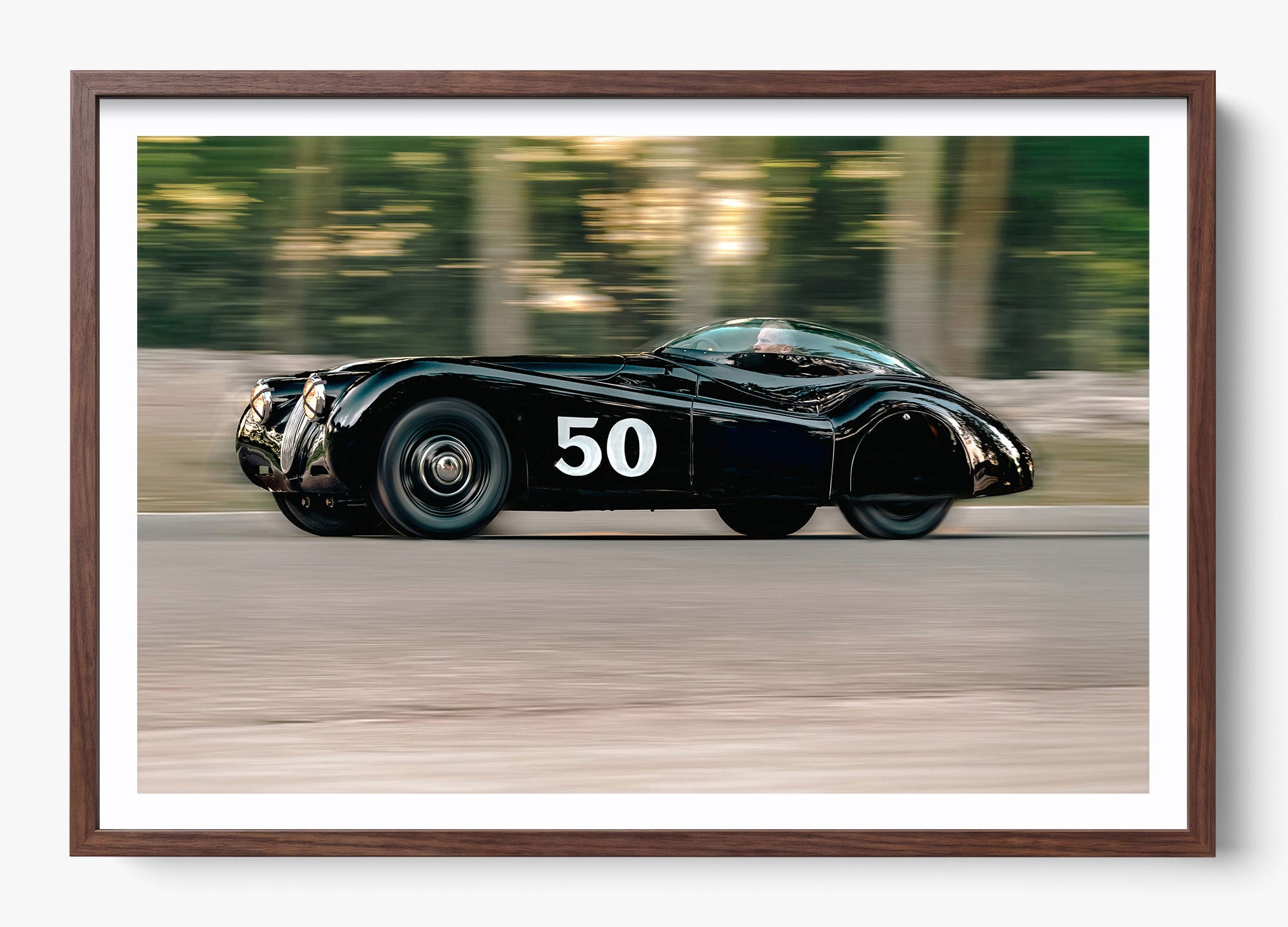 The Black Cat