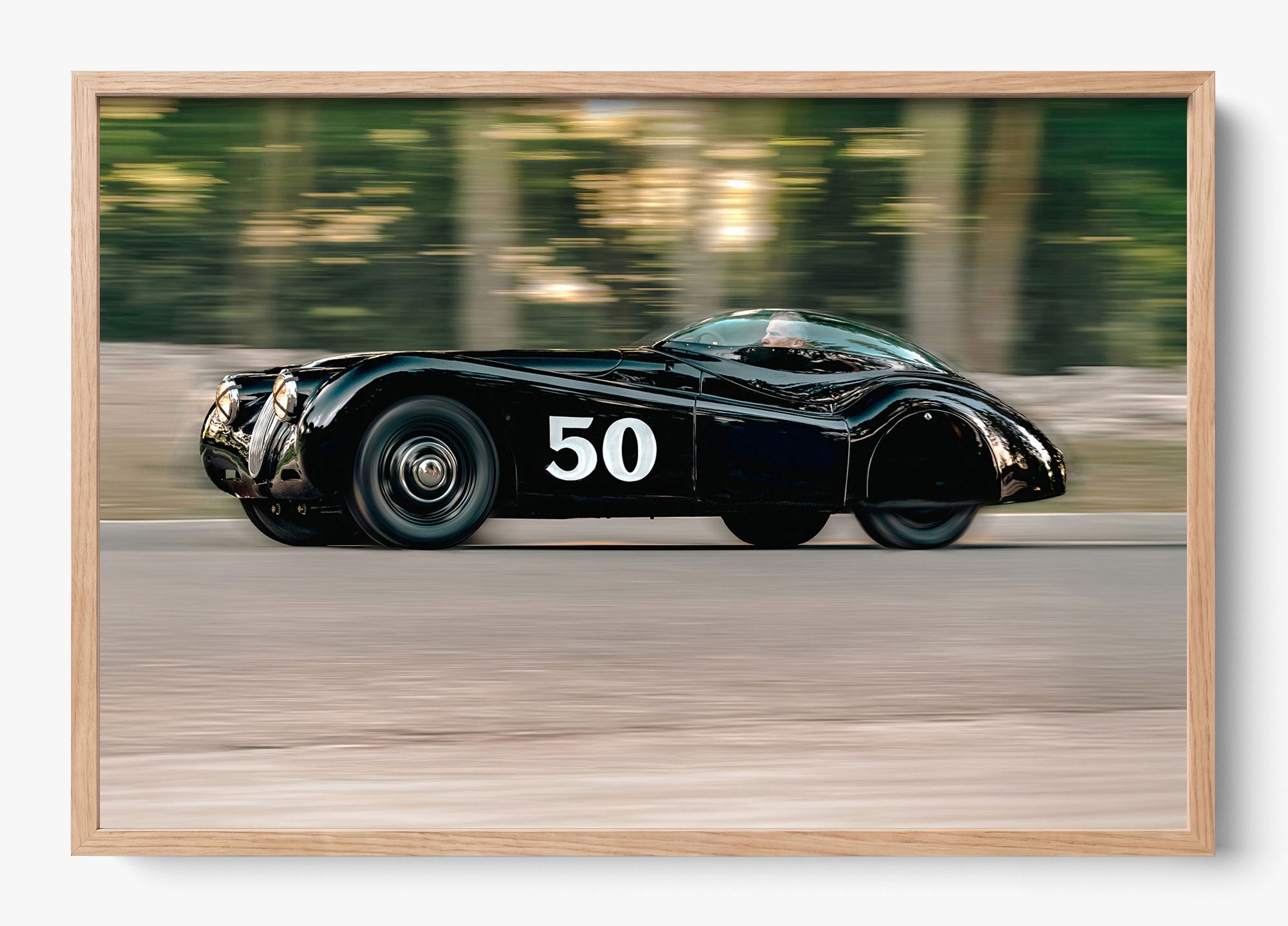 The Black Cat