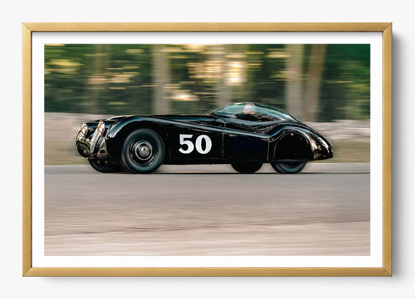 The Black Cat in a Gold frame