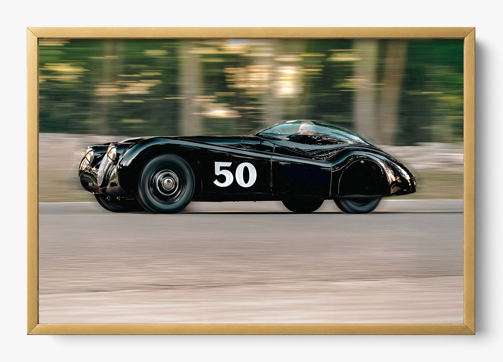 The Black Cat