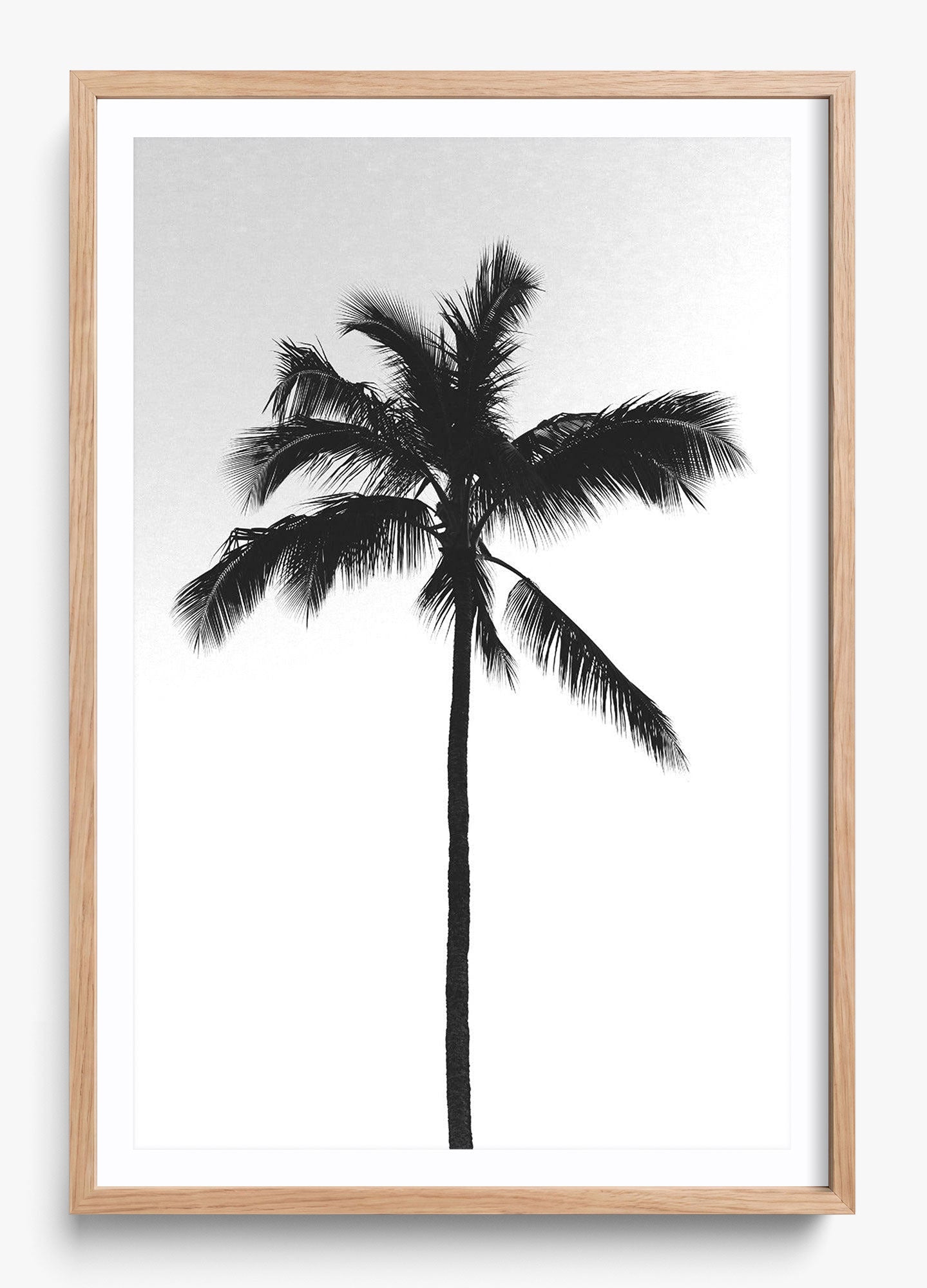 The Black Palm