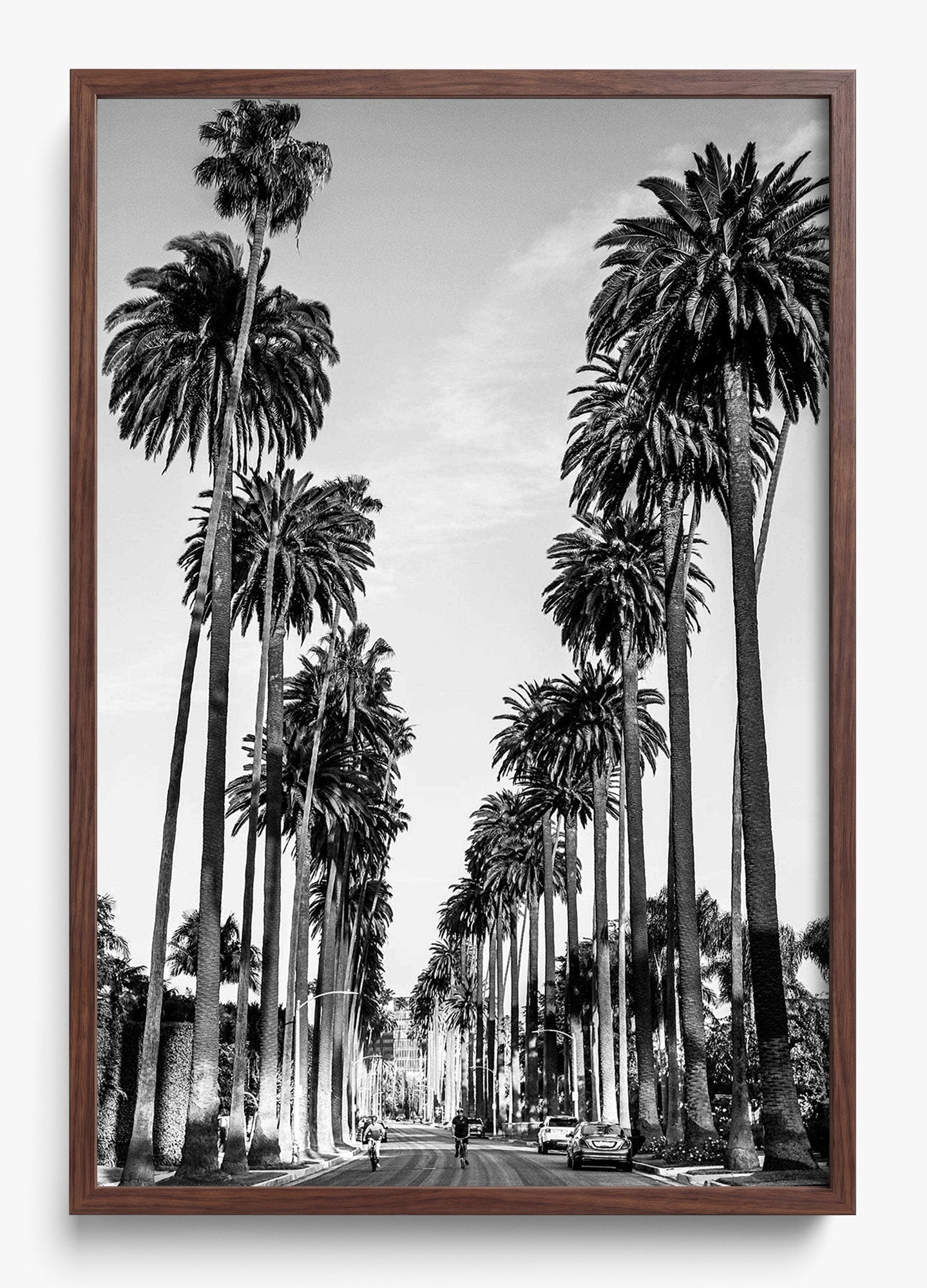 The Boulevard