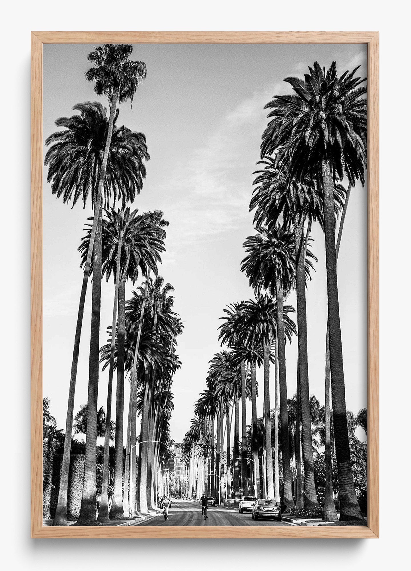 The Boulevard