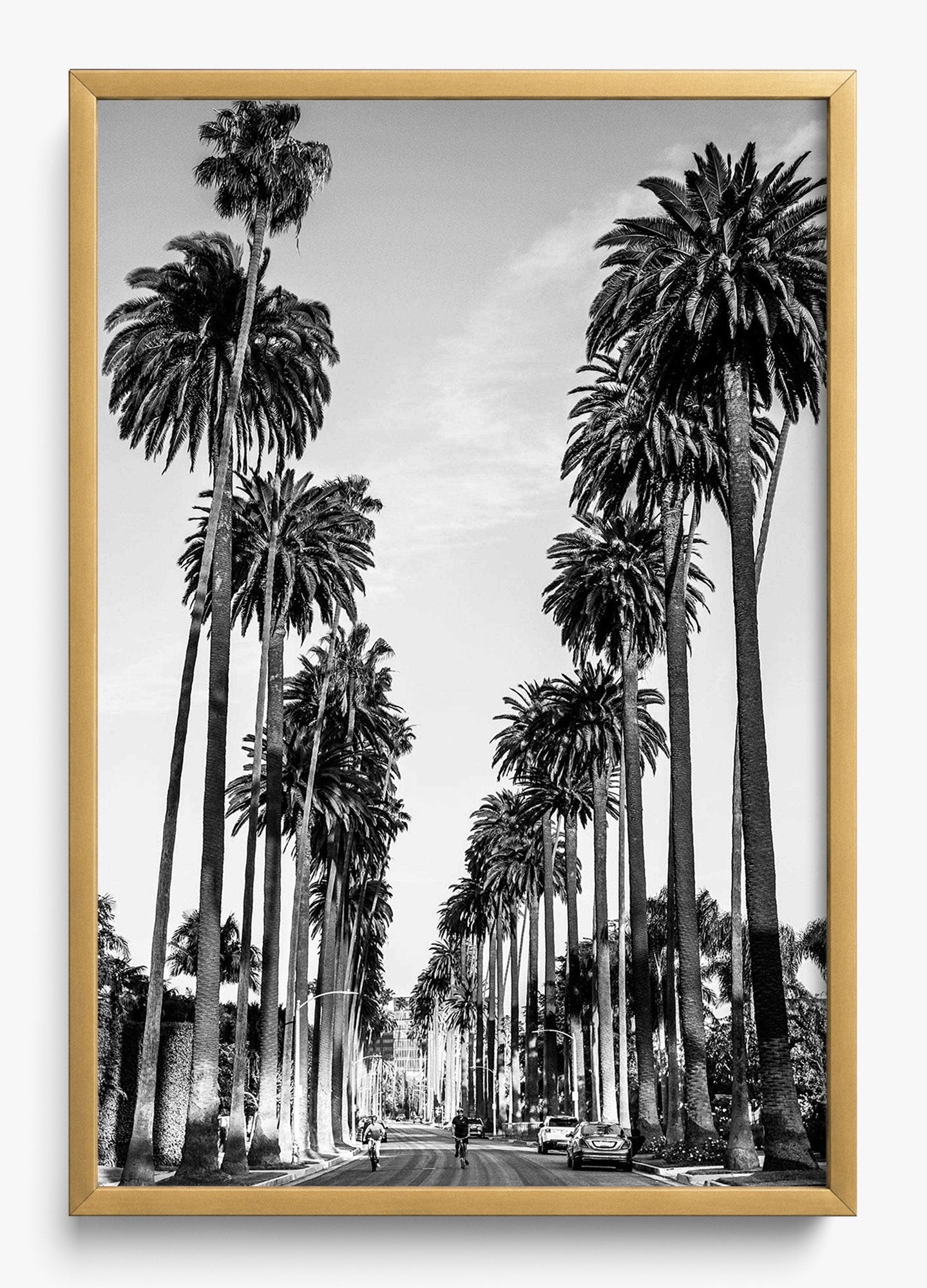 The Boulevard