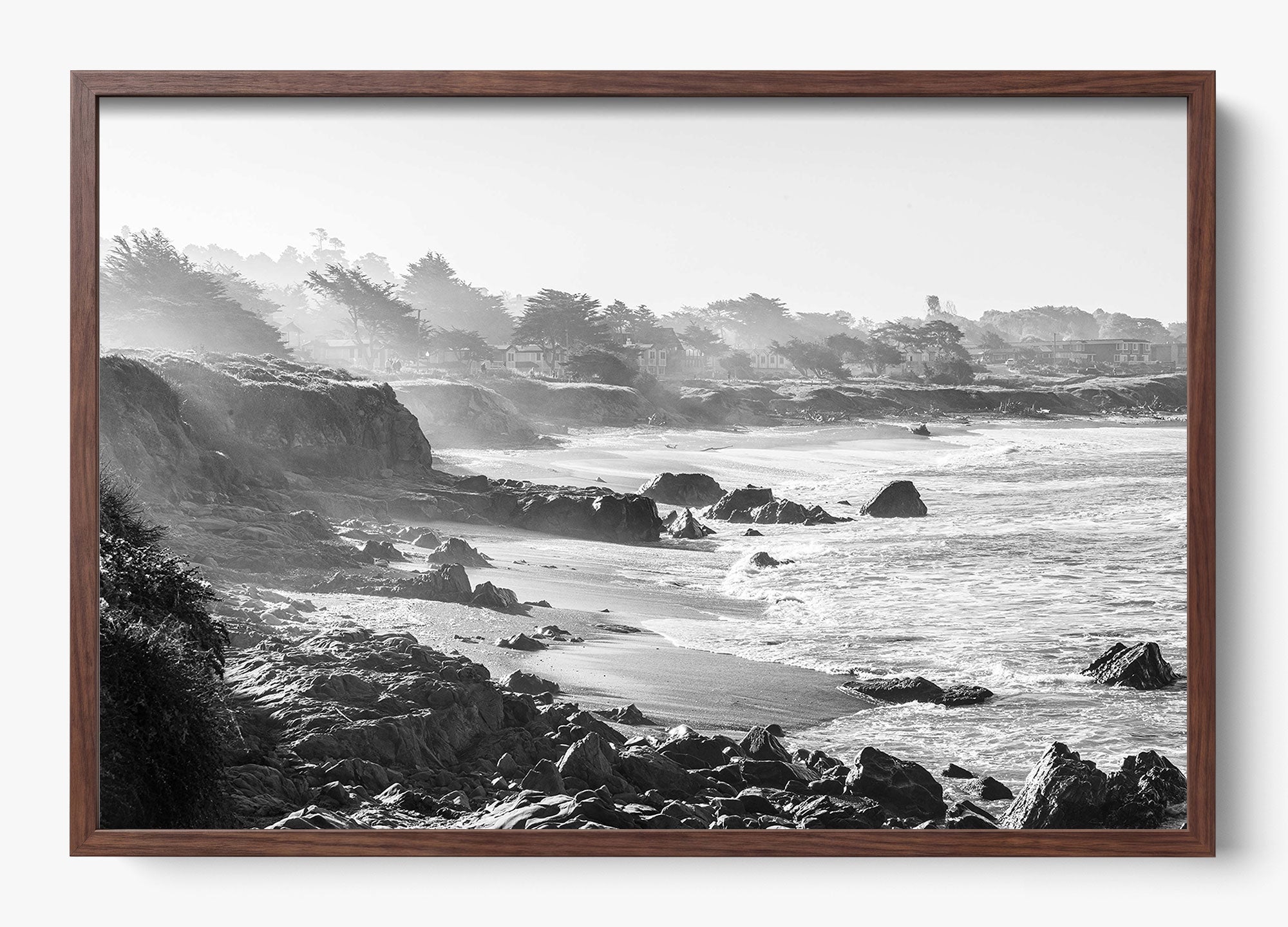 The Cambria Shores