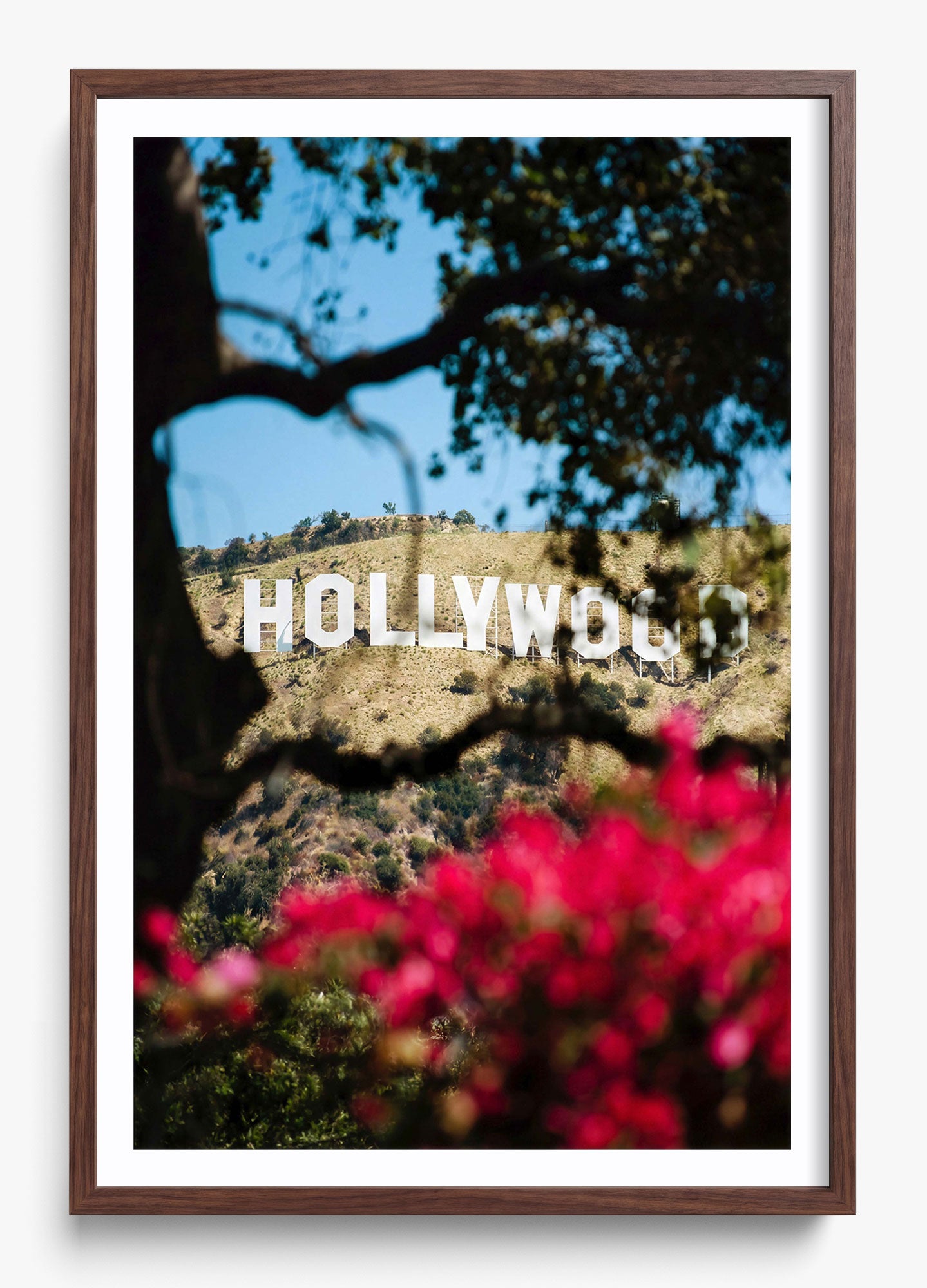 The Hollywood Dream