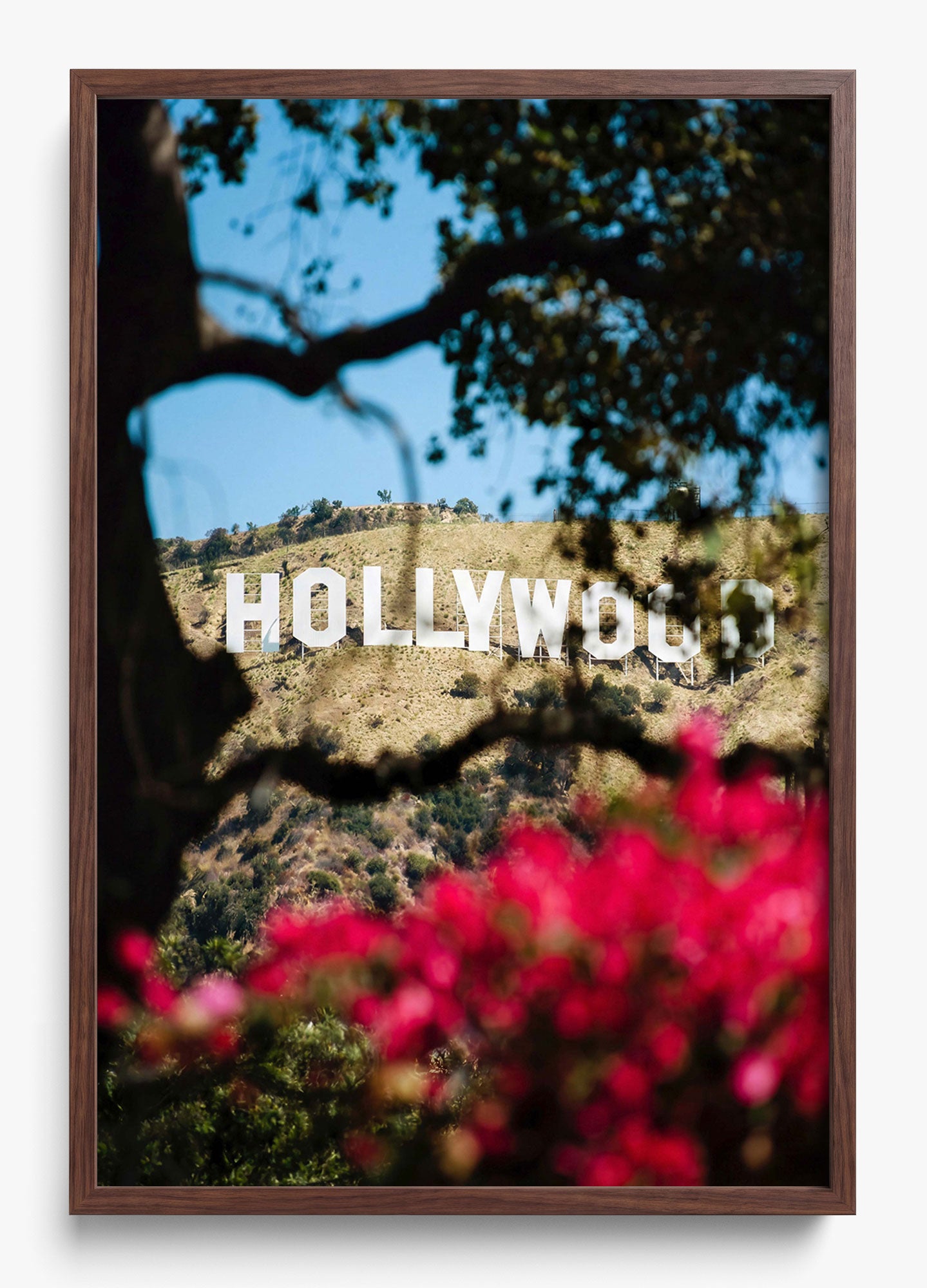 The Hollywood Dream