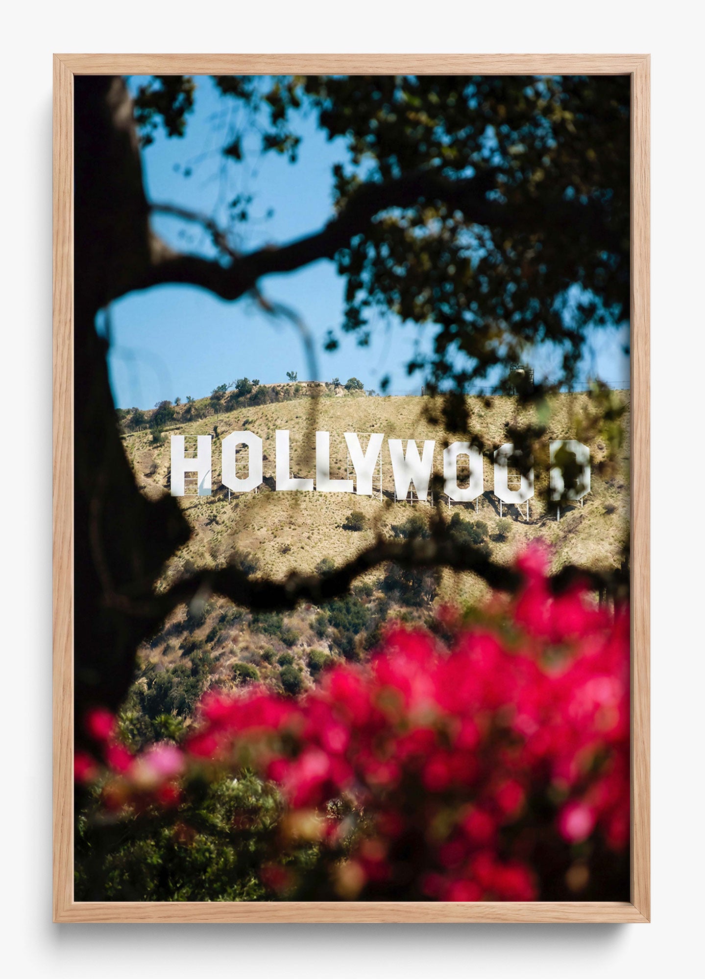The Hollywood Dream