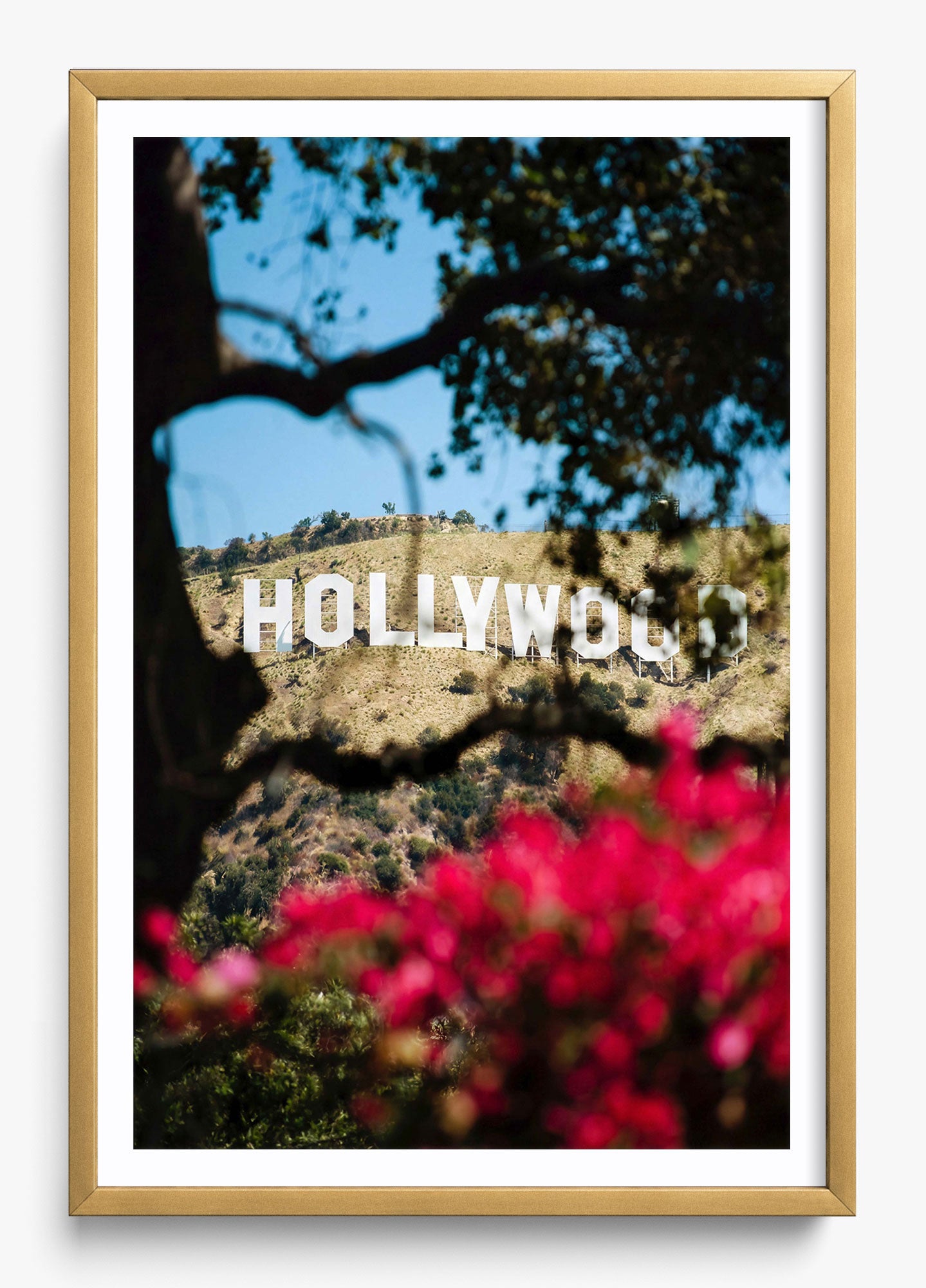The Hollywood Dream