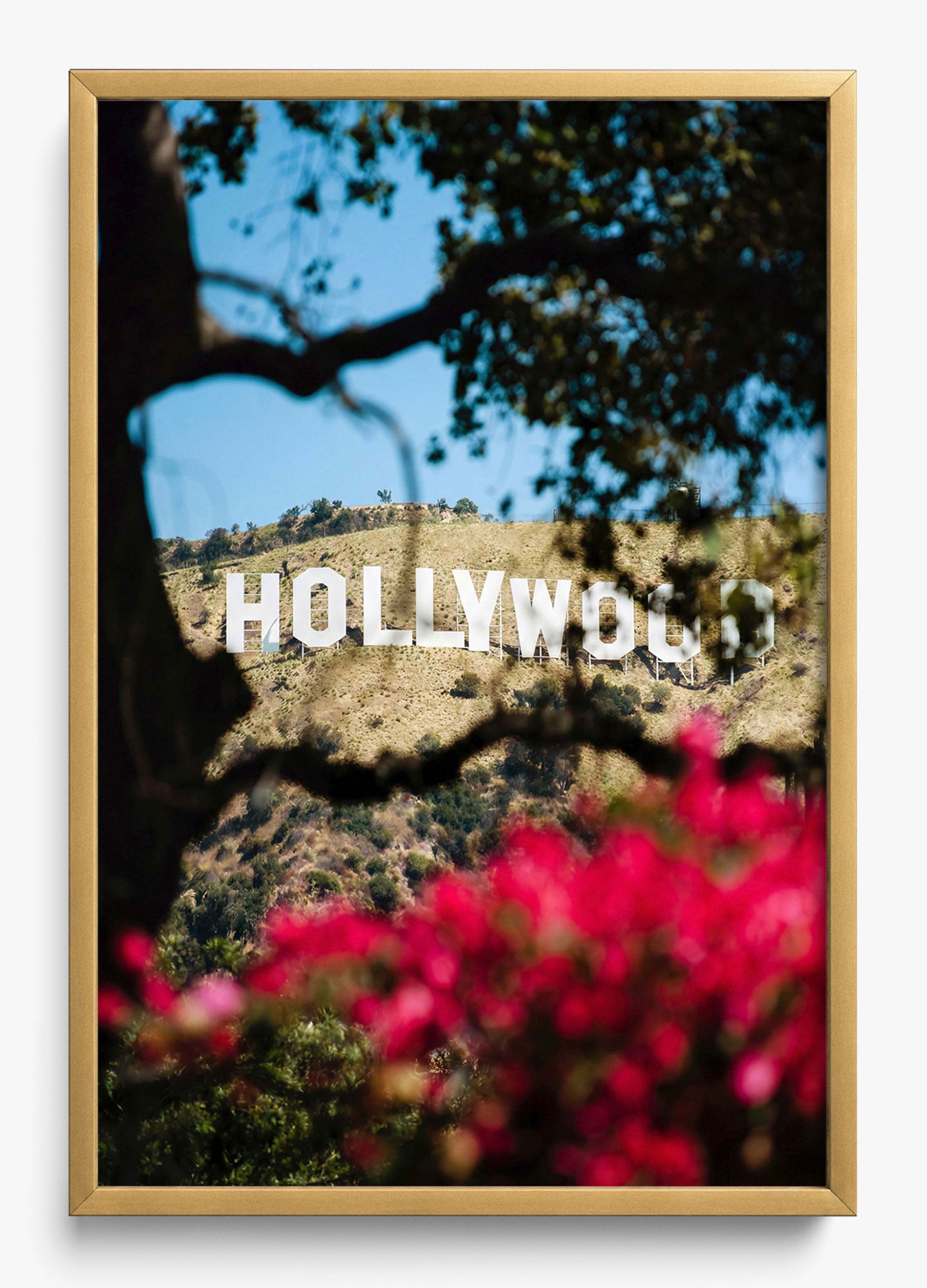 The Hollywood Dream