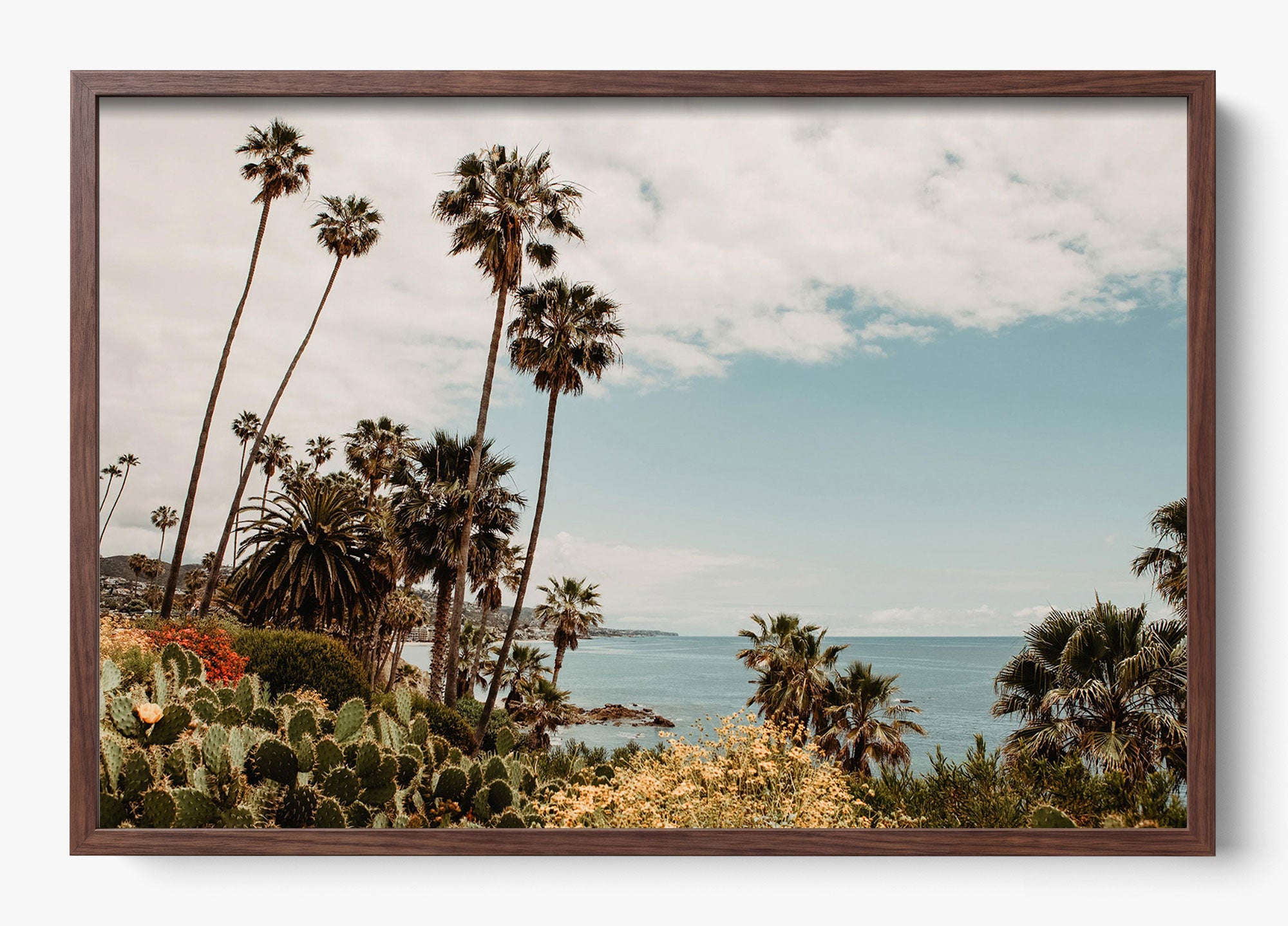 The Laguna