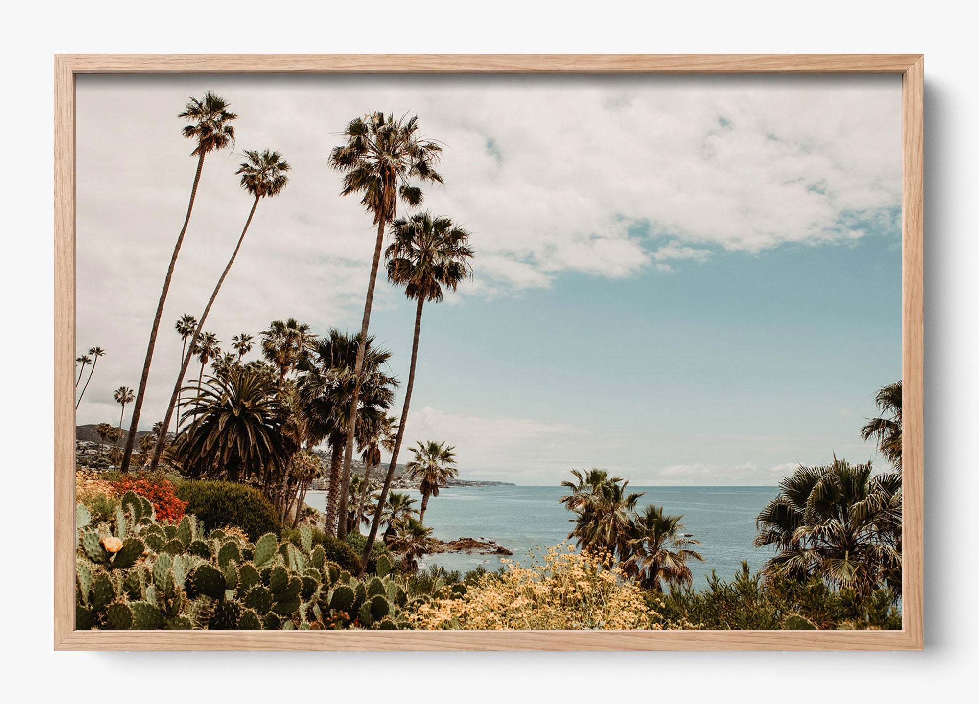 The Laguna