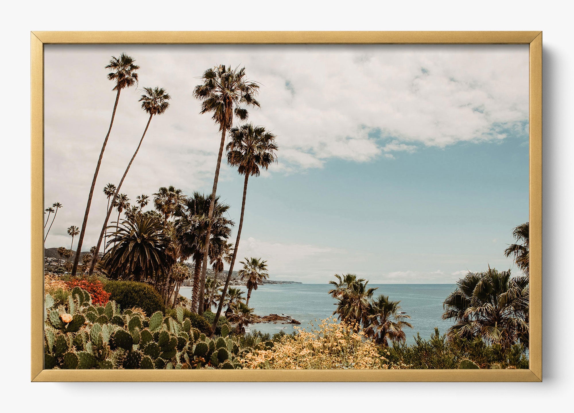 The Laguna