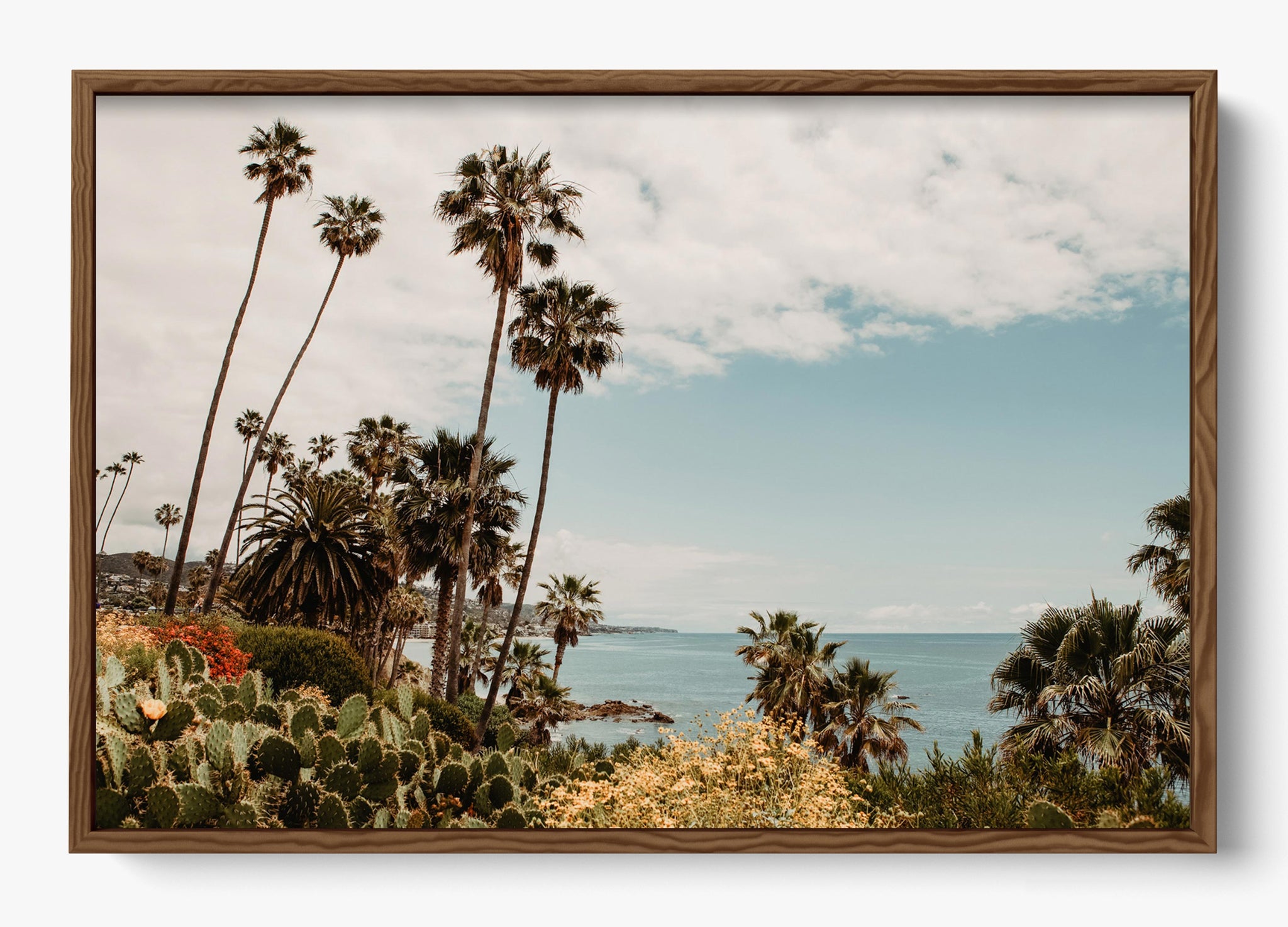 The Laguna