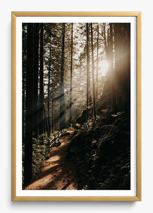 The Morning Sun in a Gold frame