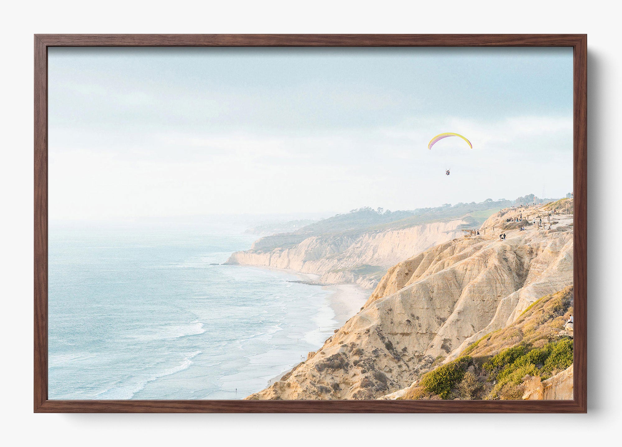 The Paraglider