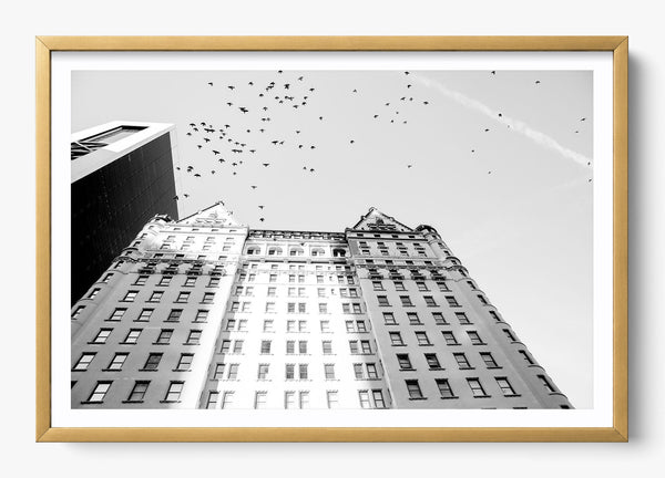 The Plaza in a Gold frame