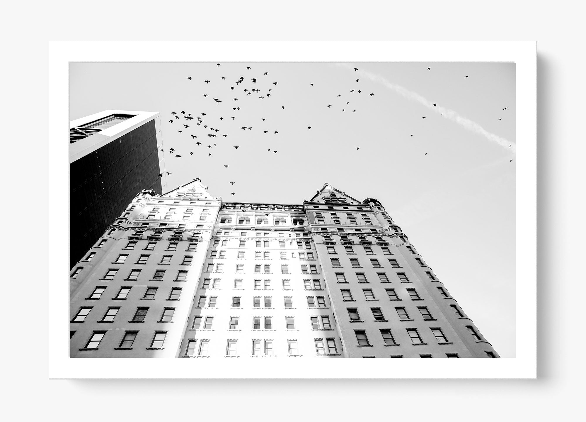 The Plaza
