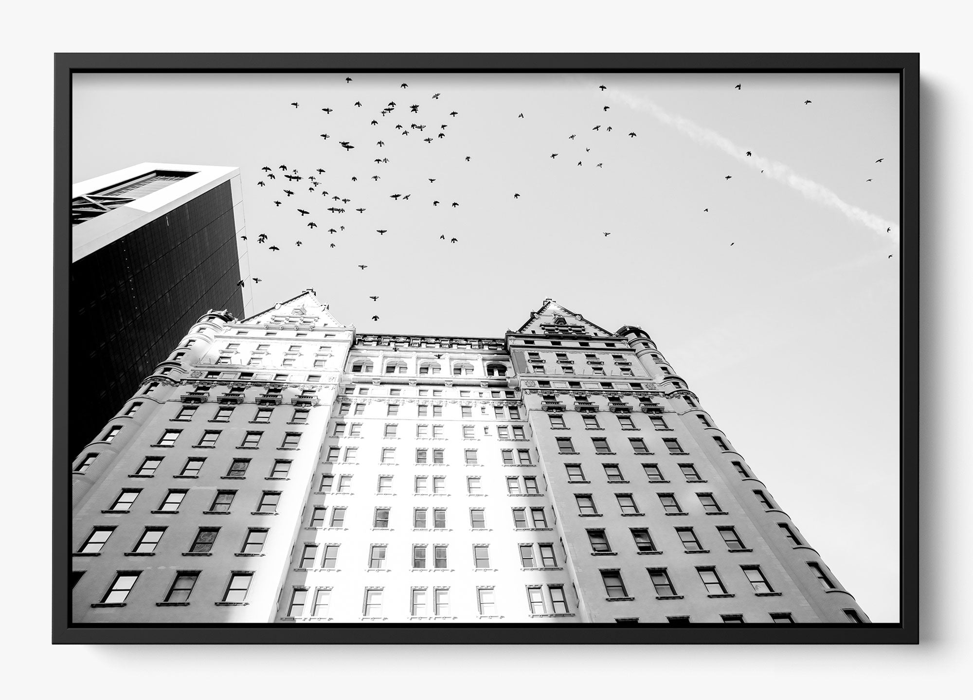 The Plaza