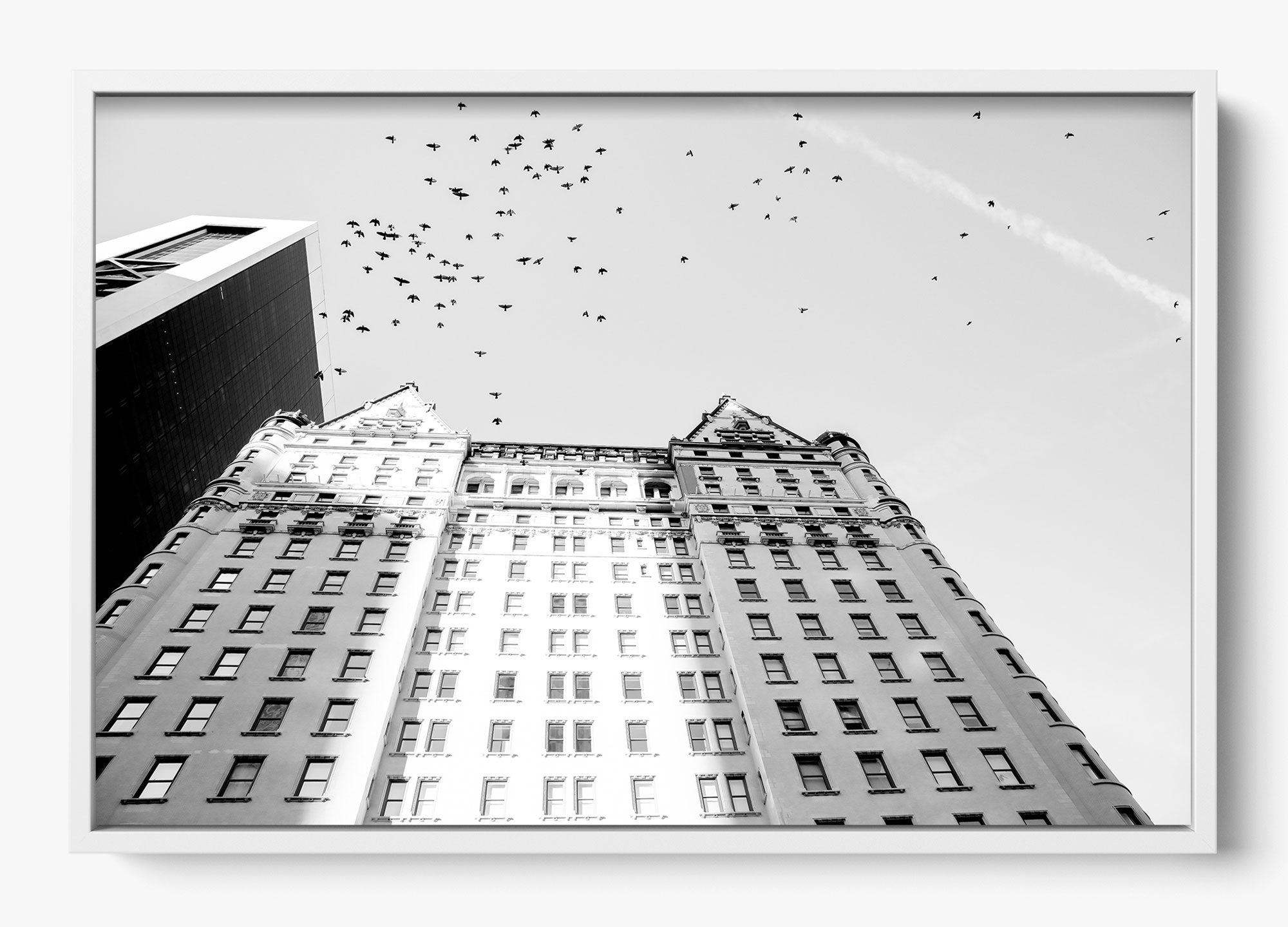 The Plaza