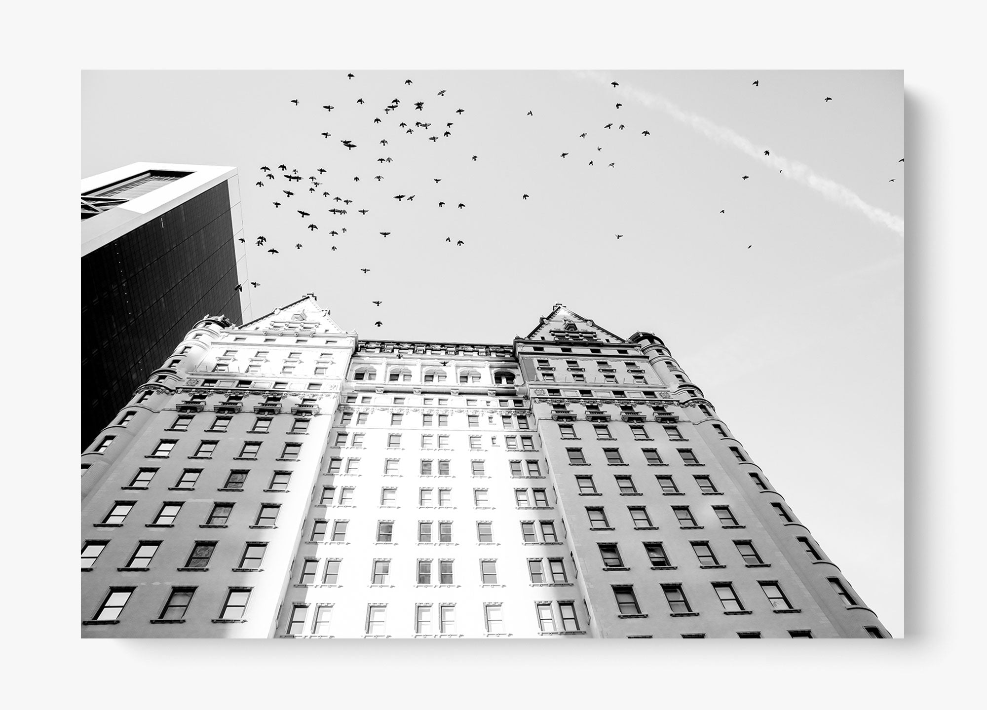 The Plaza
