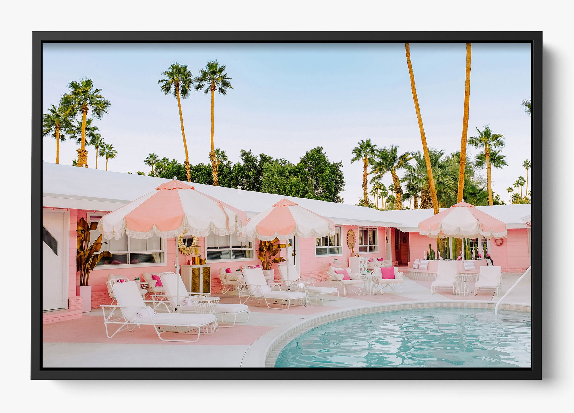 Pretty In Palm Springs