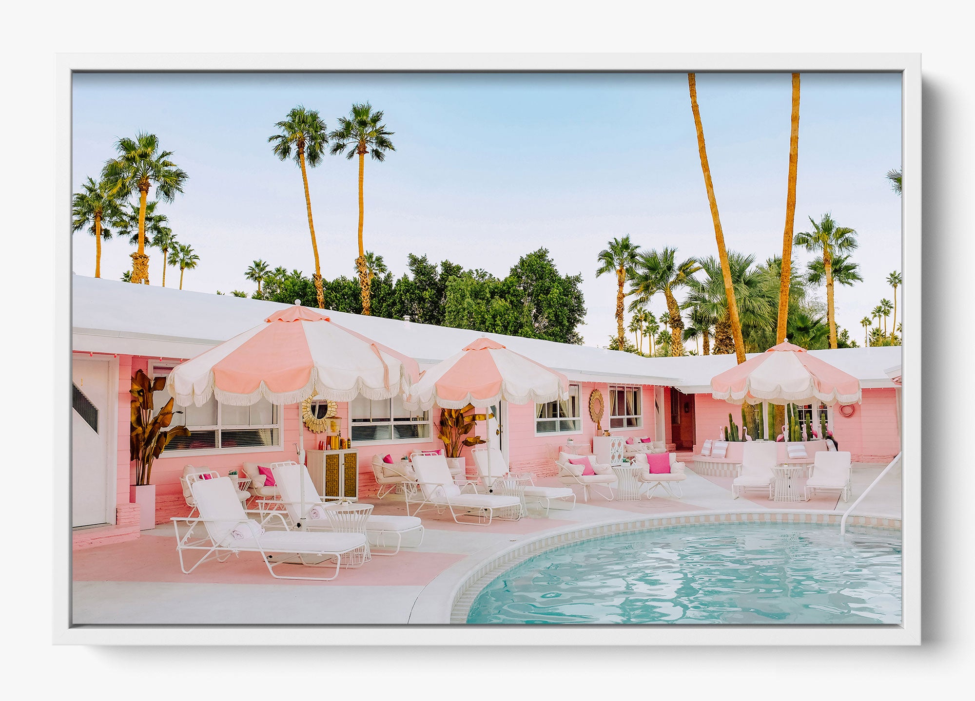 Pretty In Palm Springs