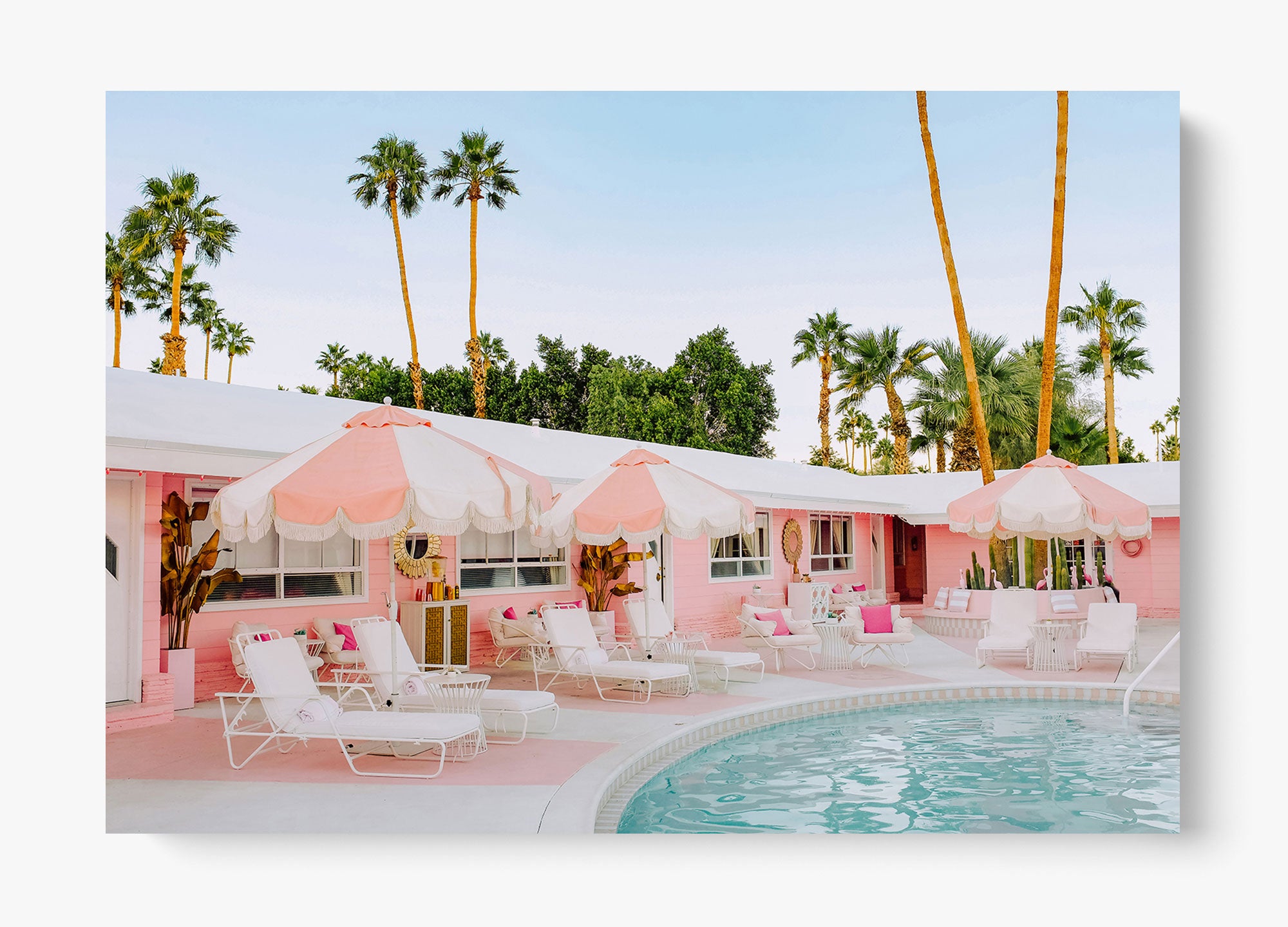 Pretty In Palm Springs Unframed