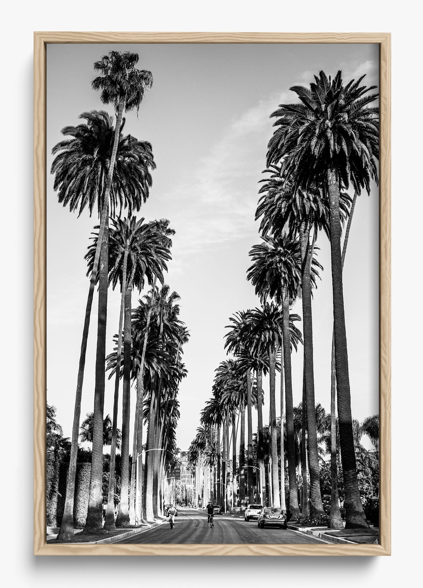 The Boulevard