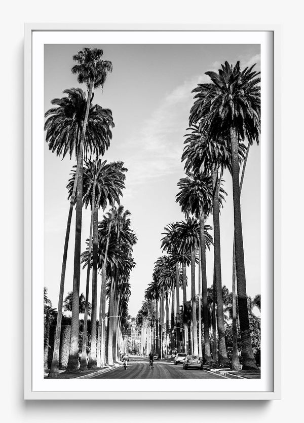 The Boulevard in a White frame