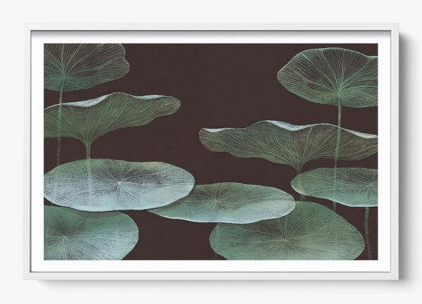 The Dark Lotus in a White frame