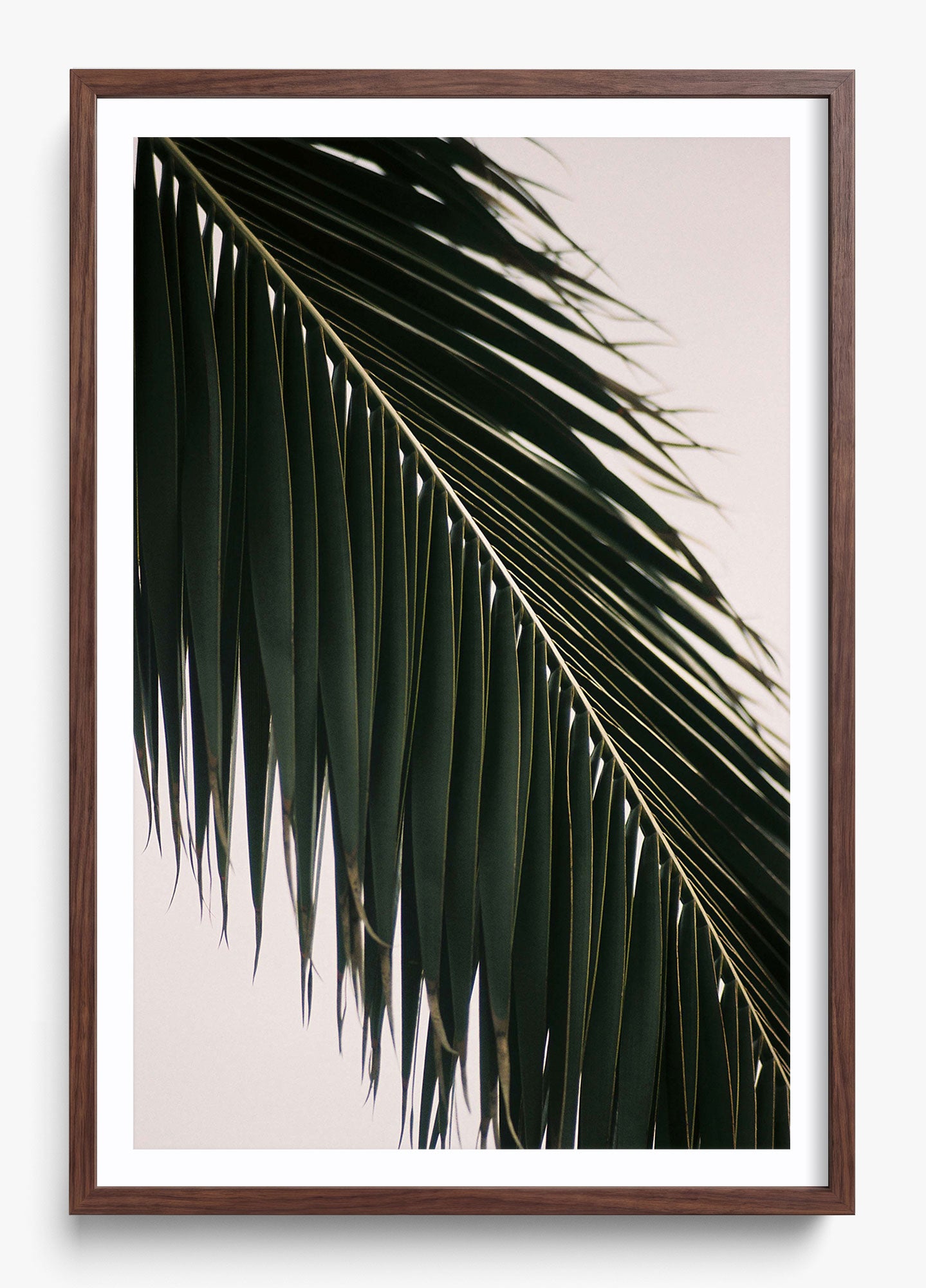 Tropical Covering