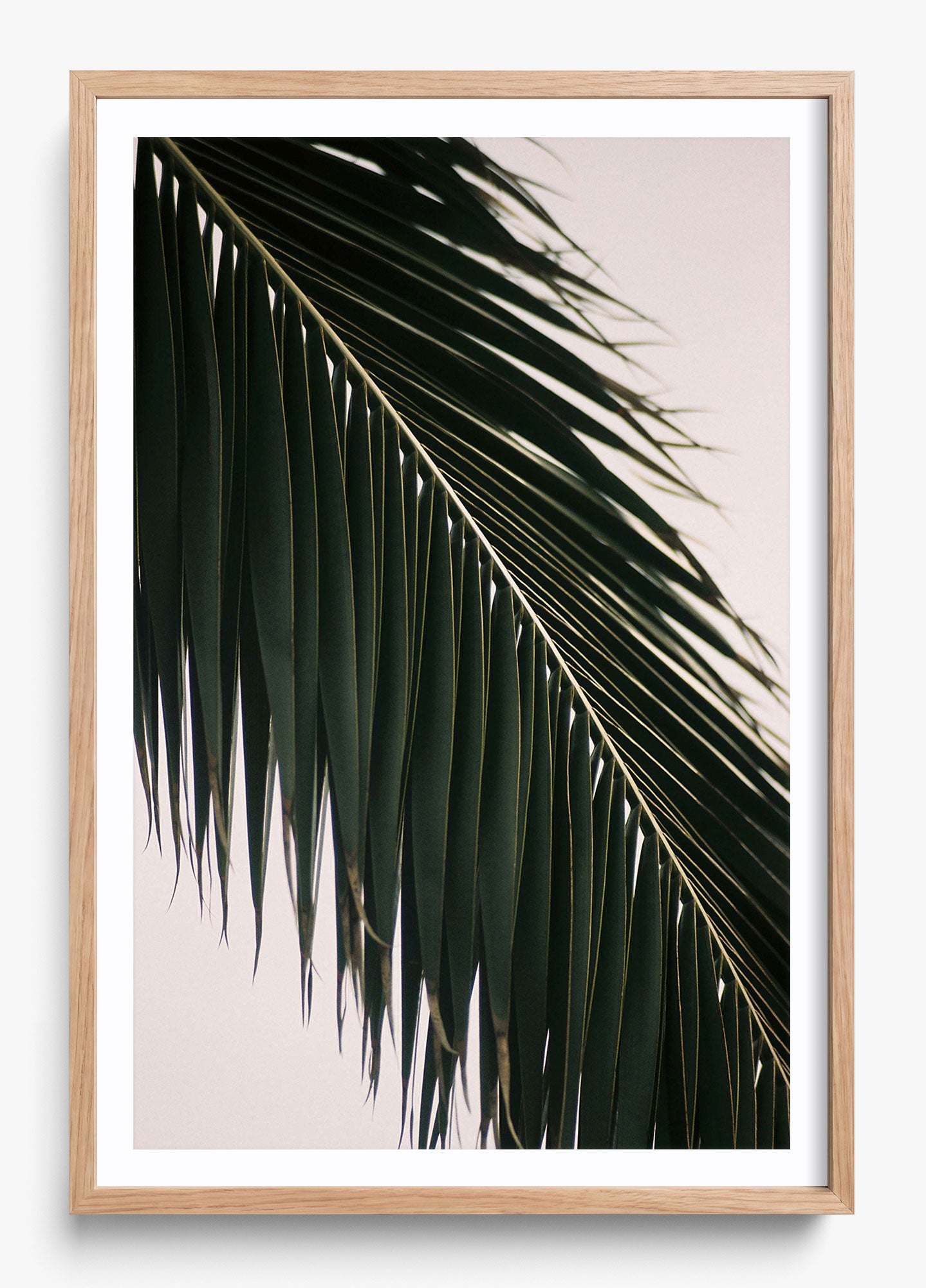 Tropical Covering