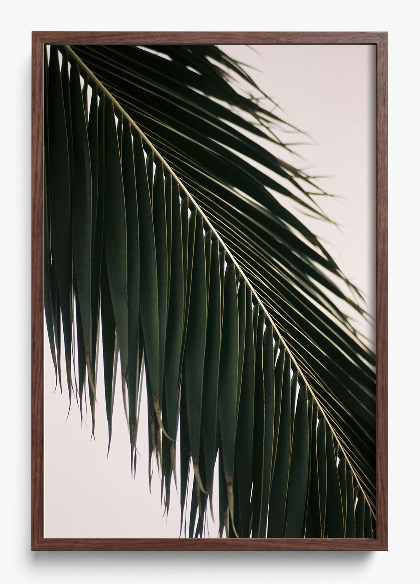 Tropical Covering