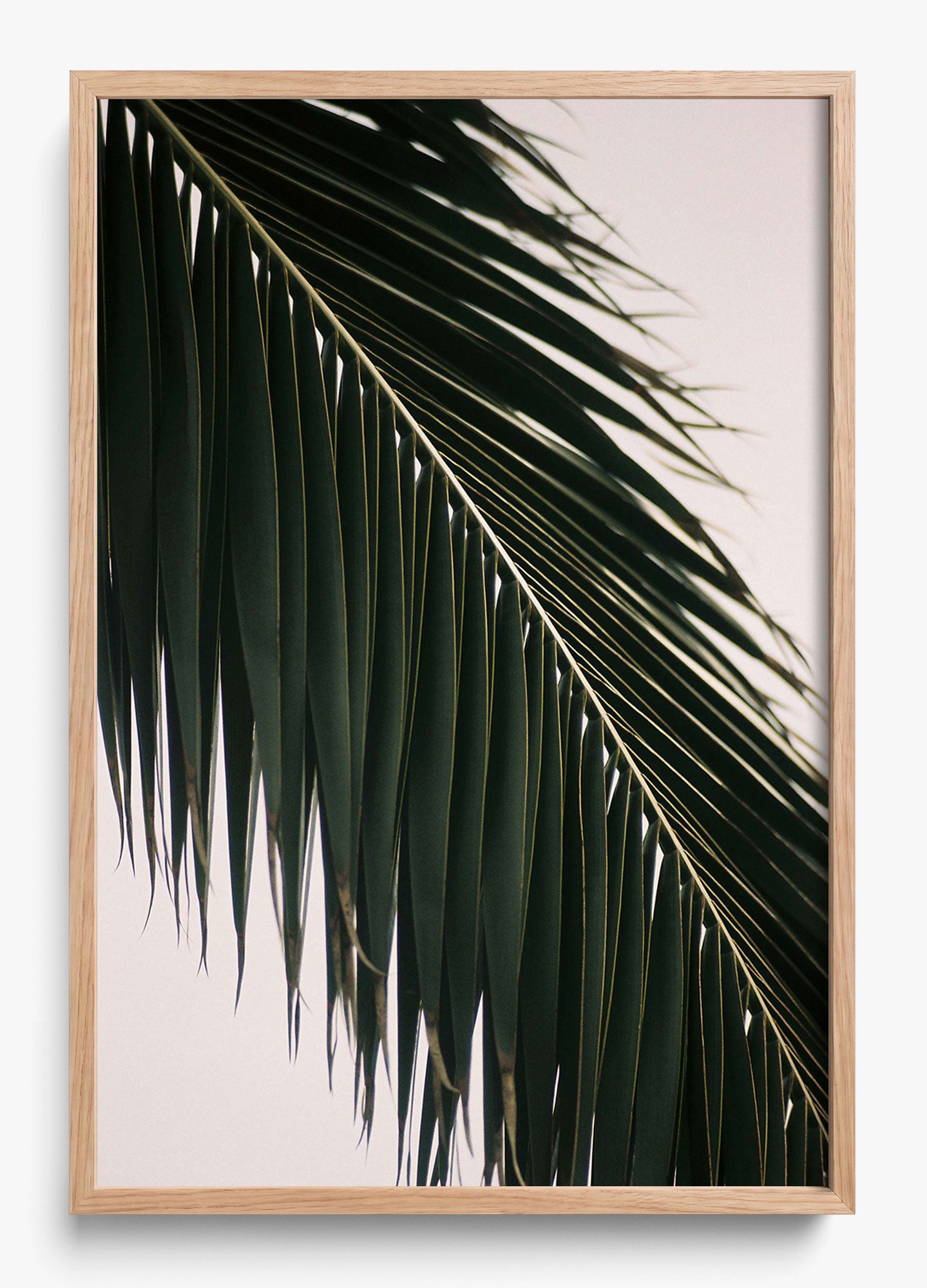 Tropical Covering