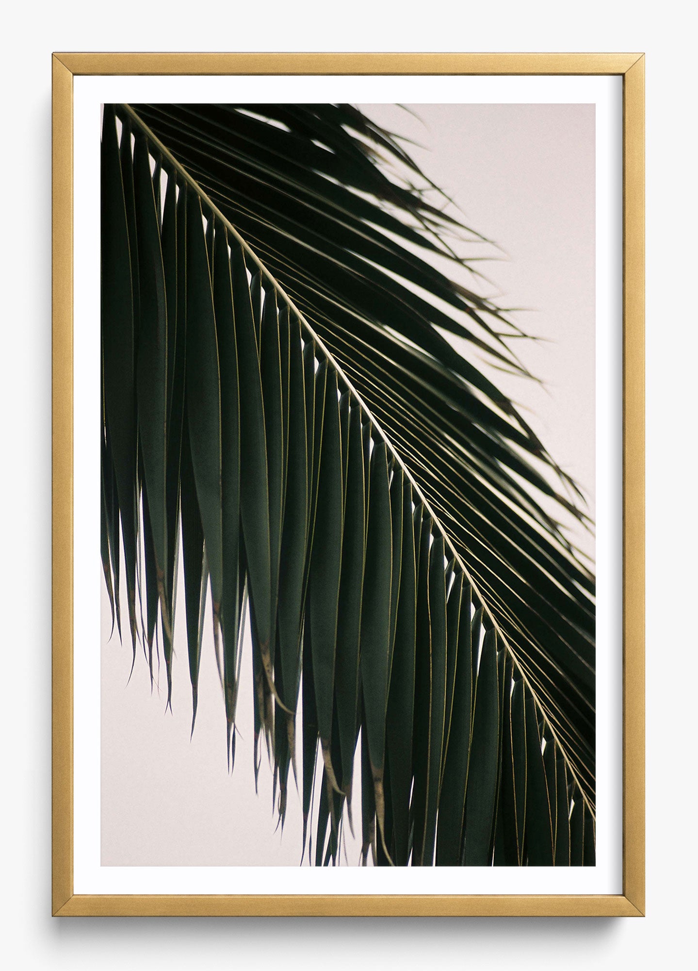 Tropical Covering